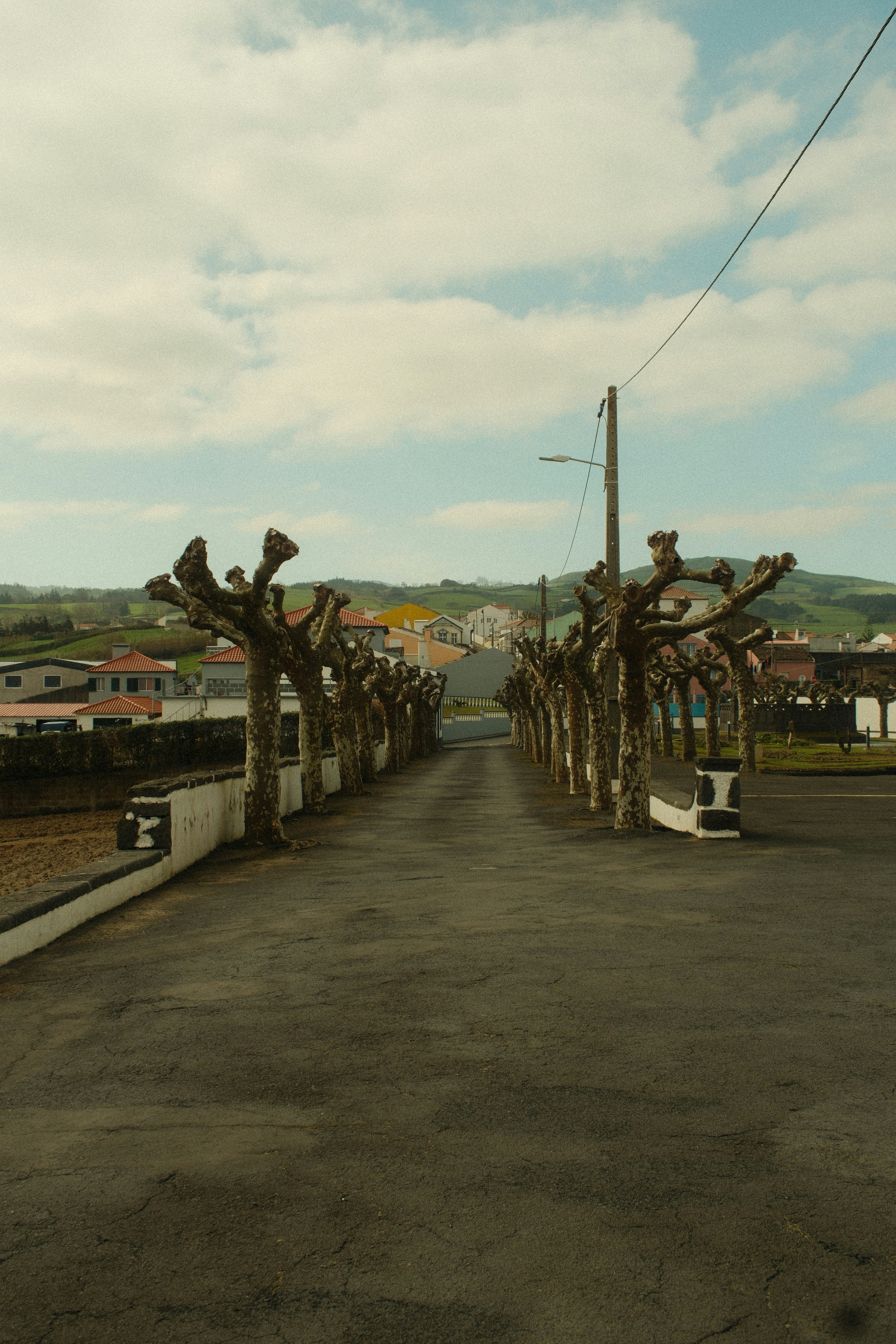 Bare trees line a paved road through a rural village