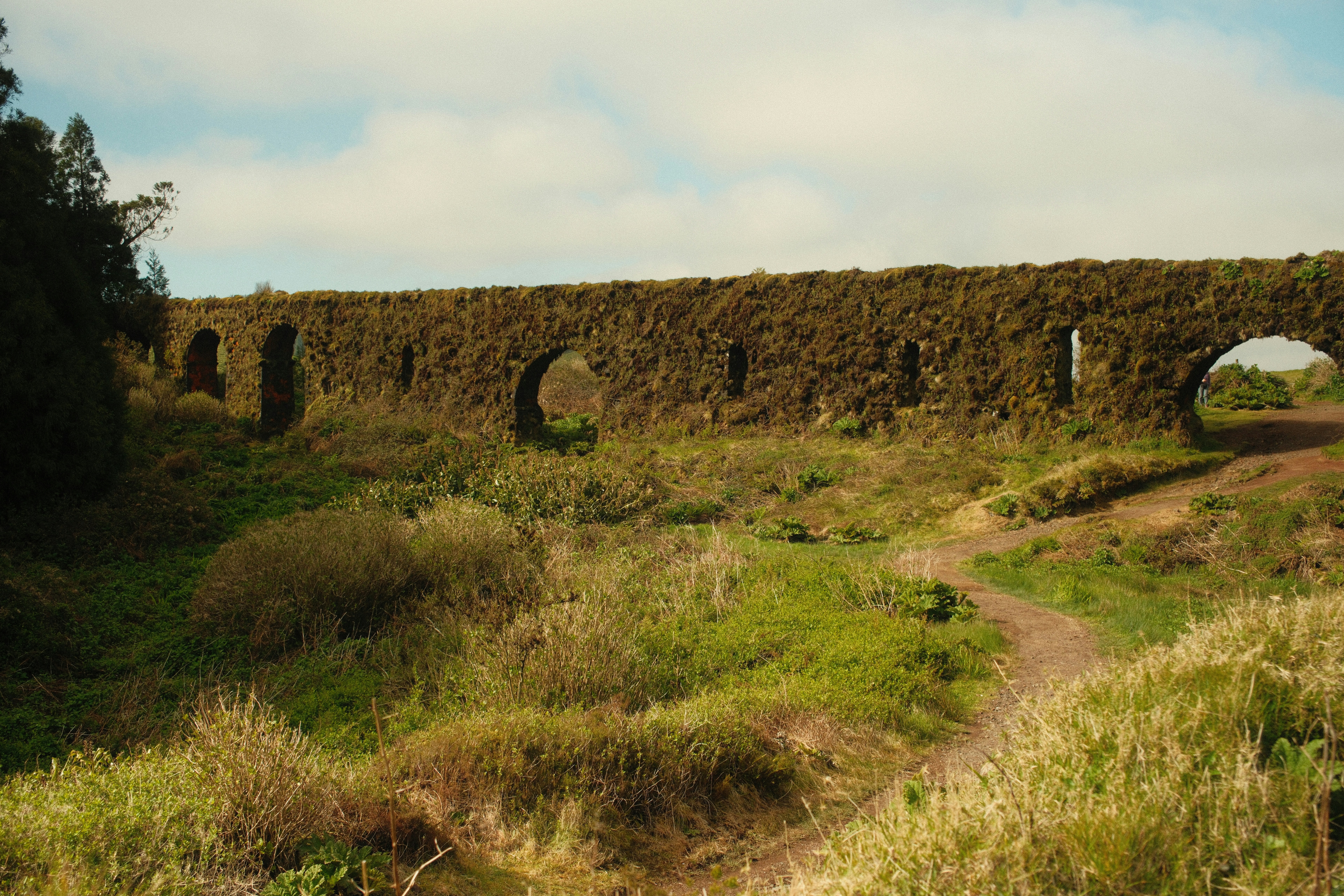 Historic stone aqueduct covered in greenery over a grassy path