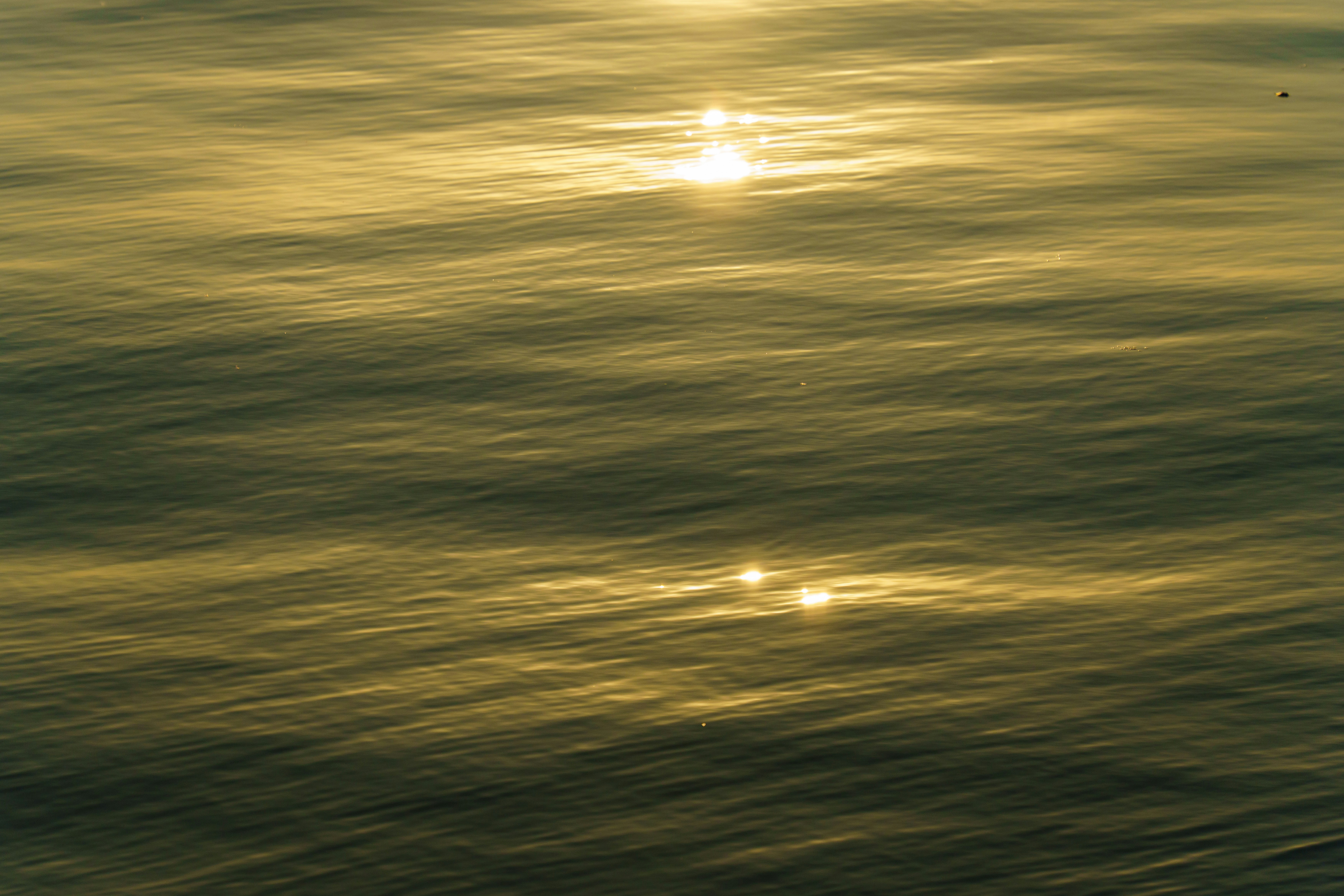 Golden sunlight shimmers on a rippling water surface