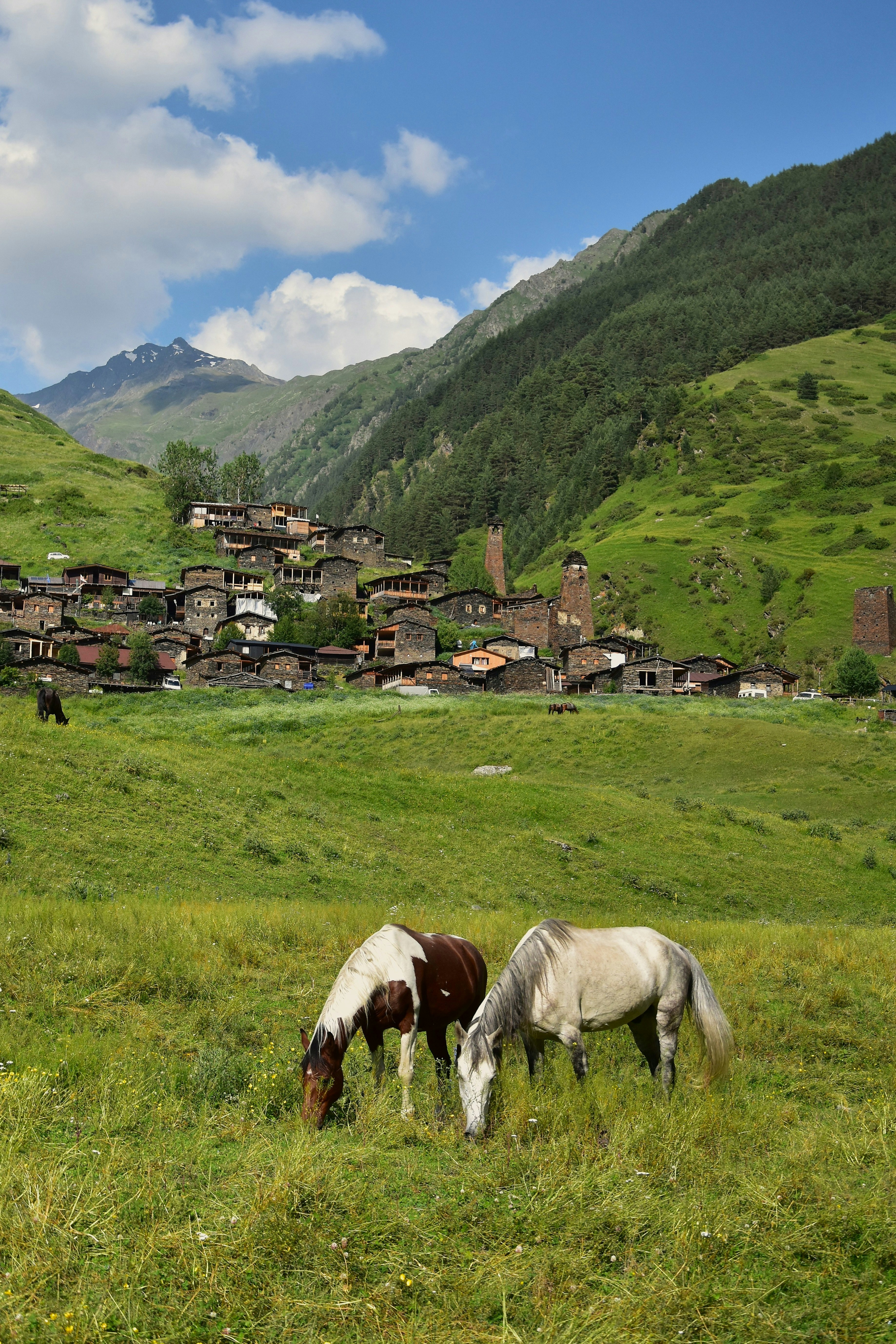 Self-Catering: Borjomi's Supermarkets and Local Shops