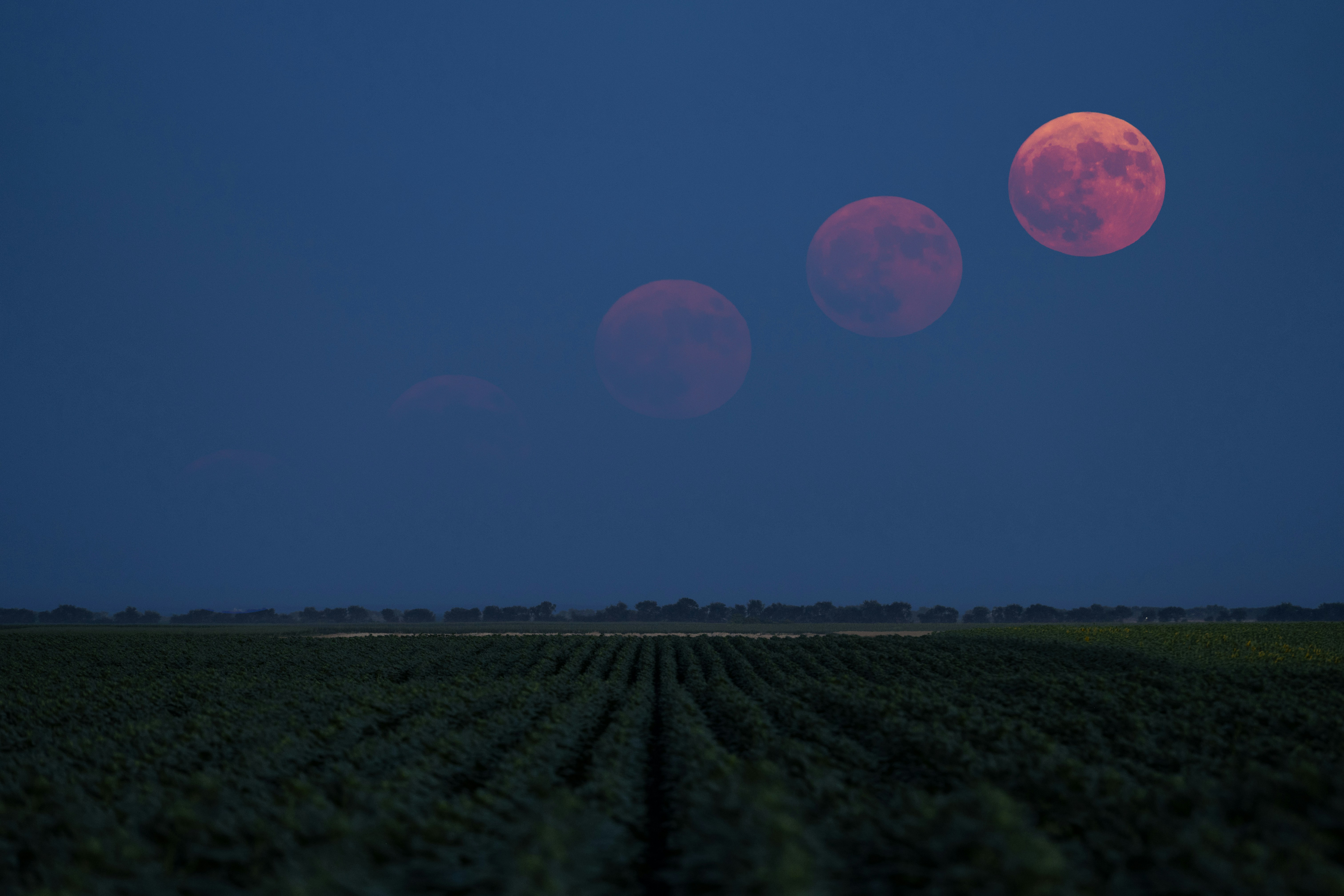 Blood moon eclipse sequence over novi sad field