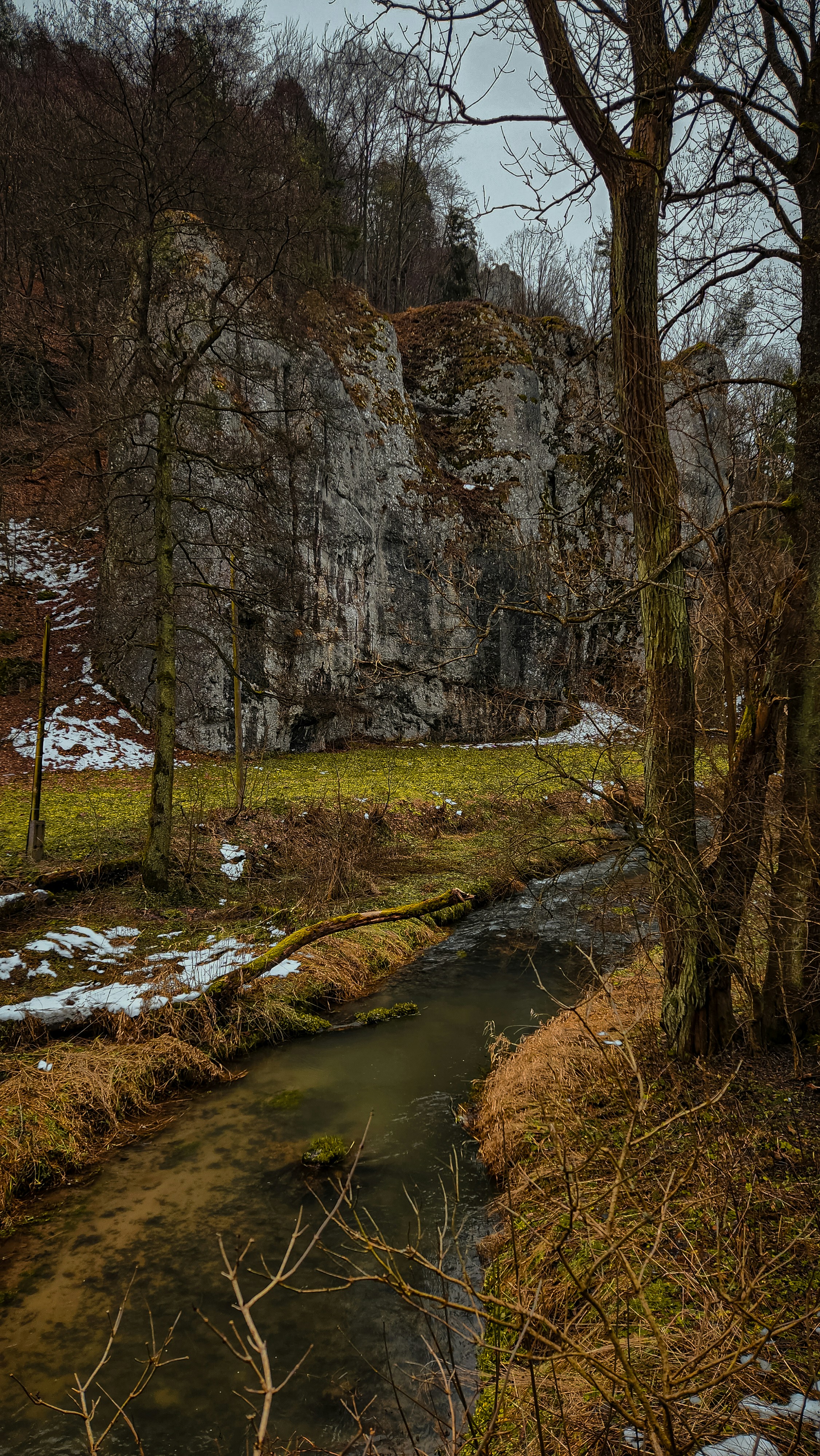 A stream winds through rocky cliffs and bare winter trees.