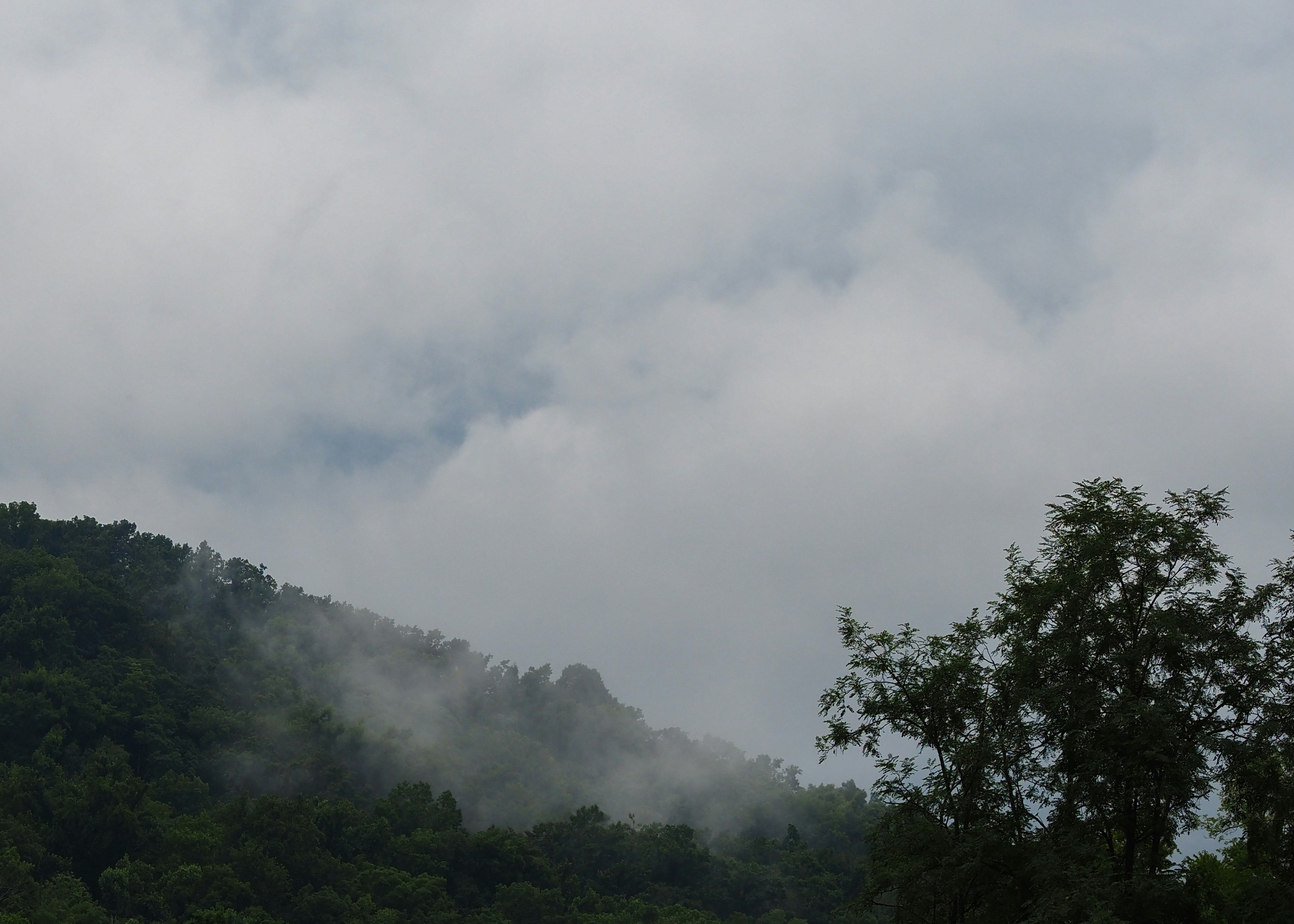 Misty clouds shroud a lush green mountain landscape.
