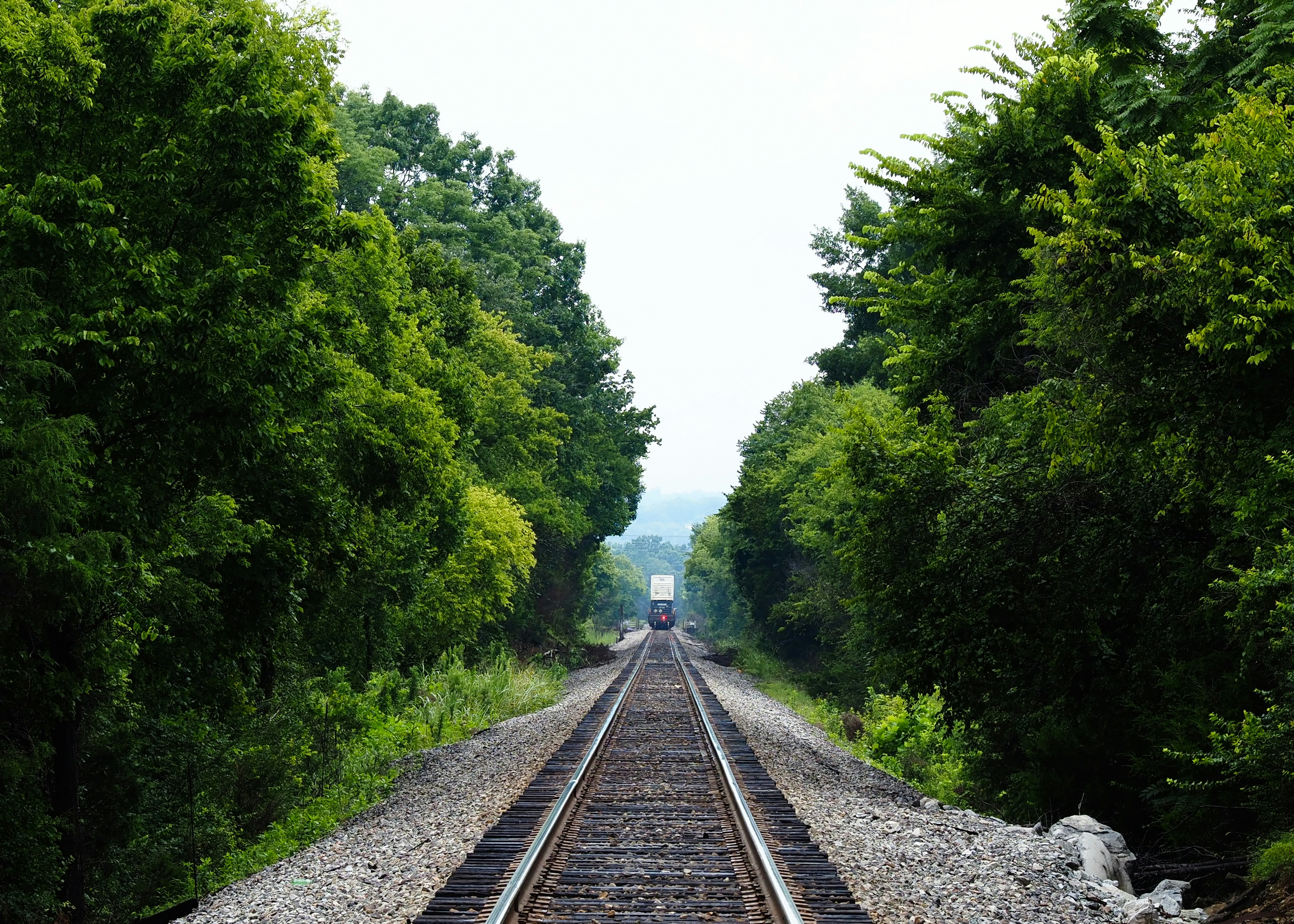 Railway tracks leading through a tunnel of green trees.