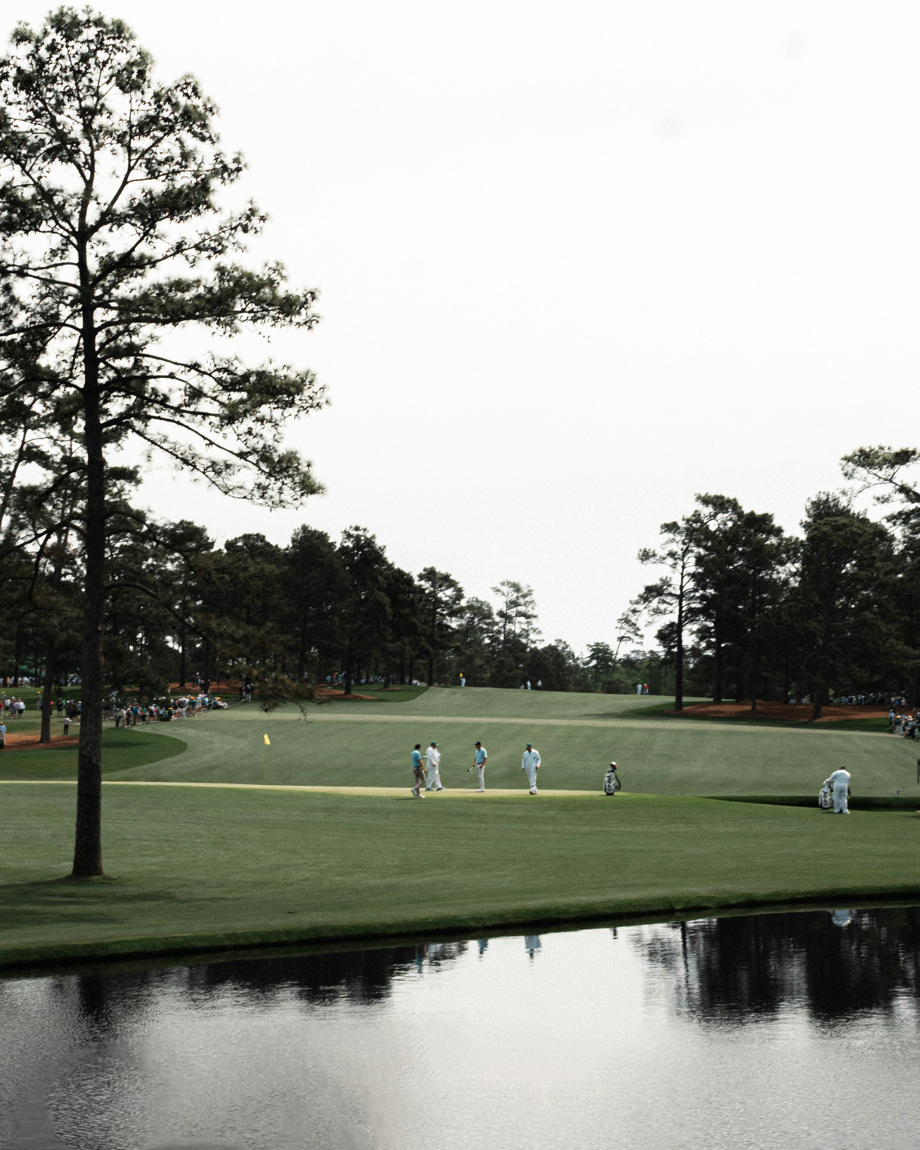 Golfistas en un campo de golf exuberante junto a un estanque reflectante.