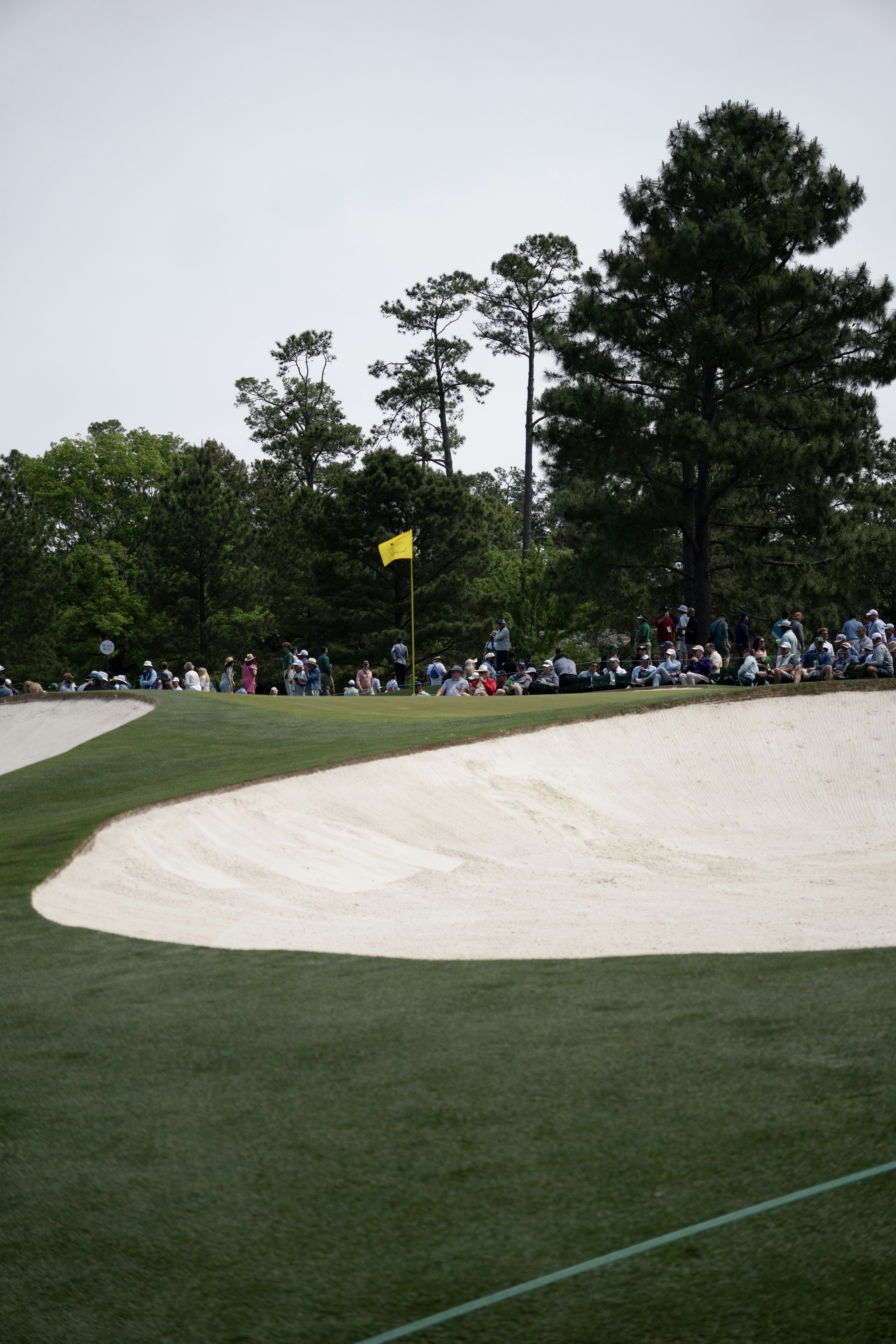 Verde de golf con bandera amarilla, bunker de arena y espectadores.