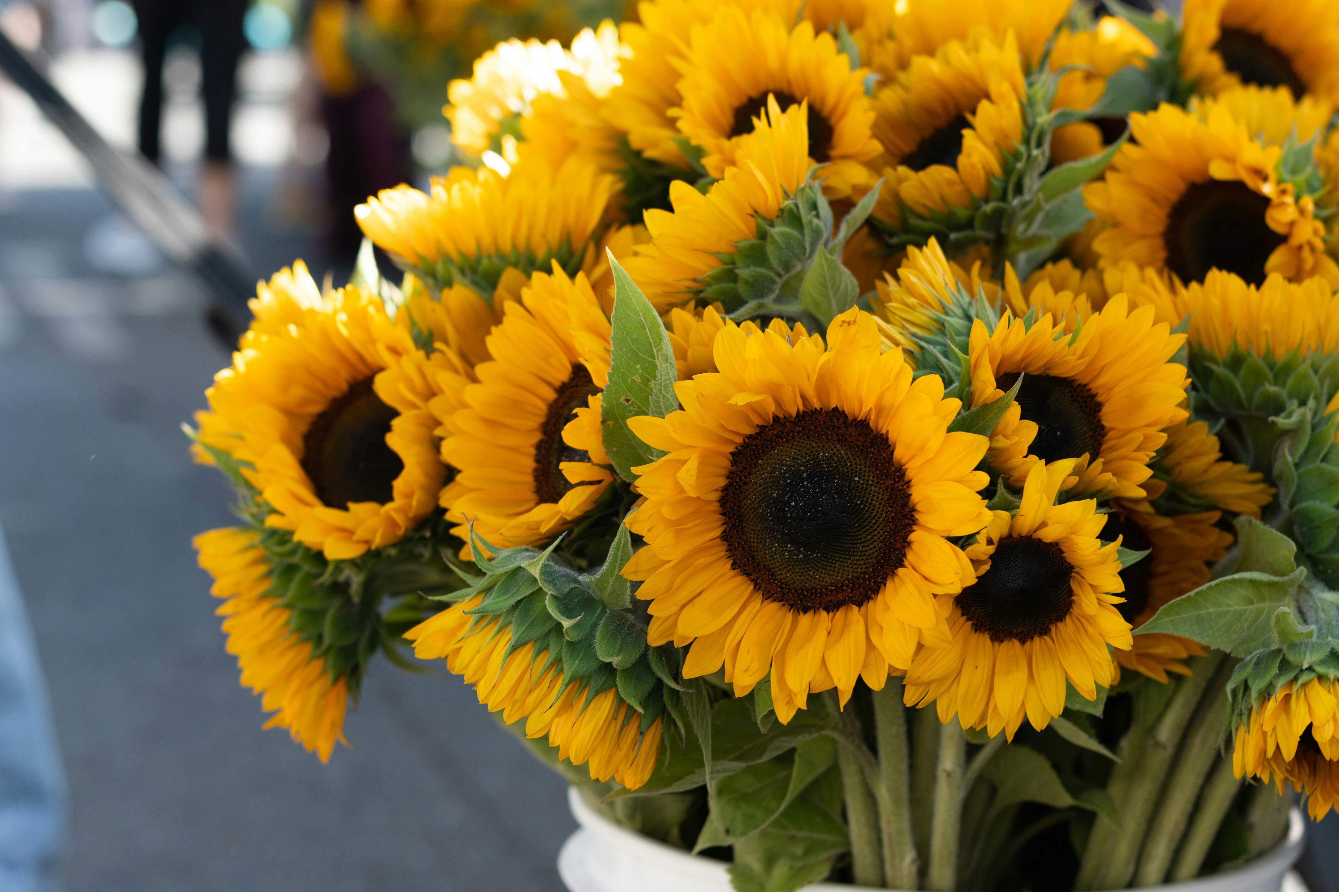 A large bouquet of vibrant yellow sunflowers with dark centers