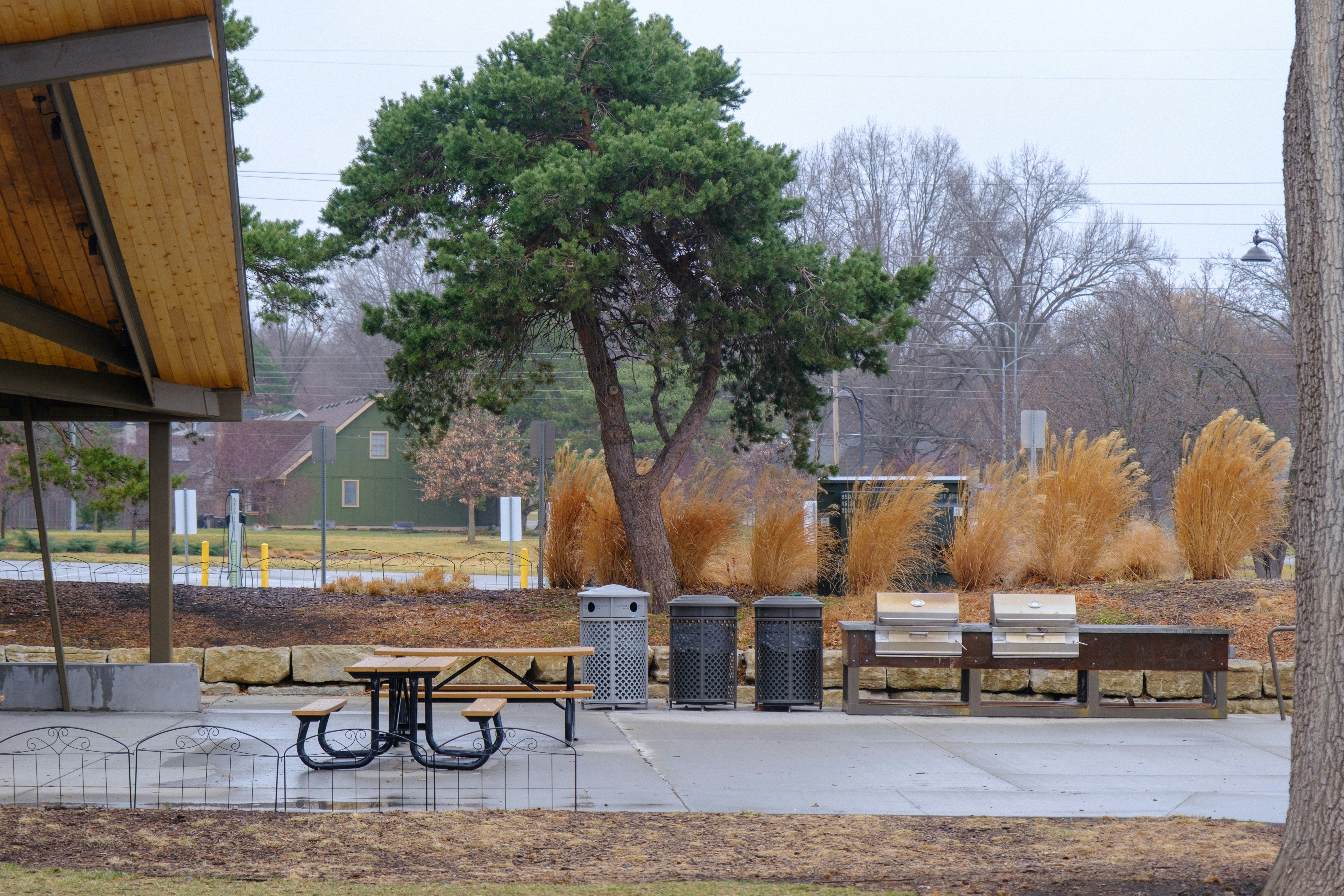 Picnic area with shelter, table, grills, and a large tree