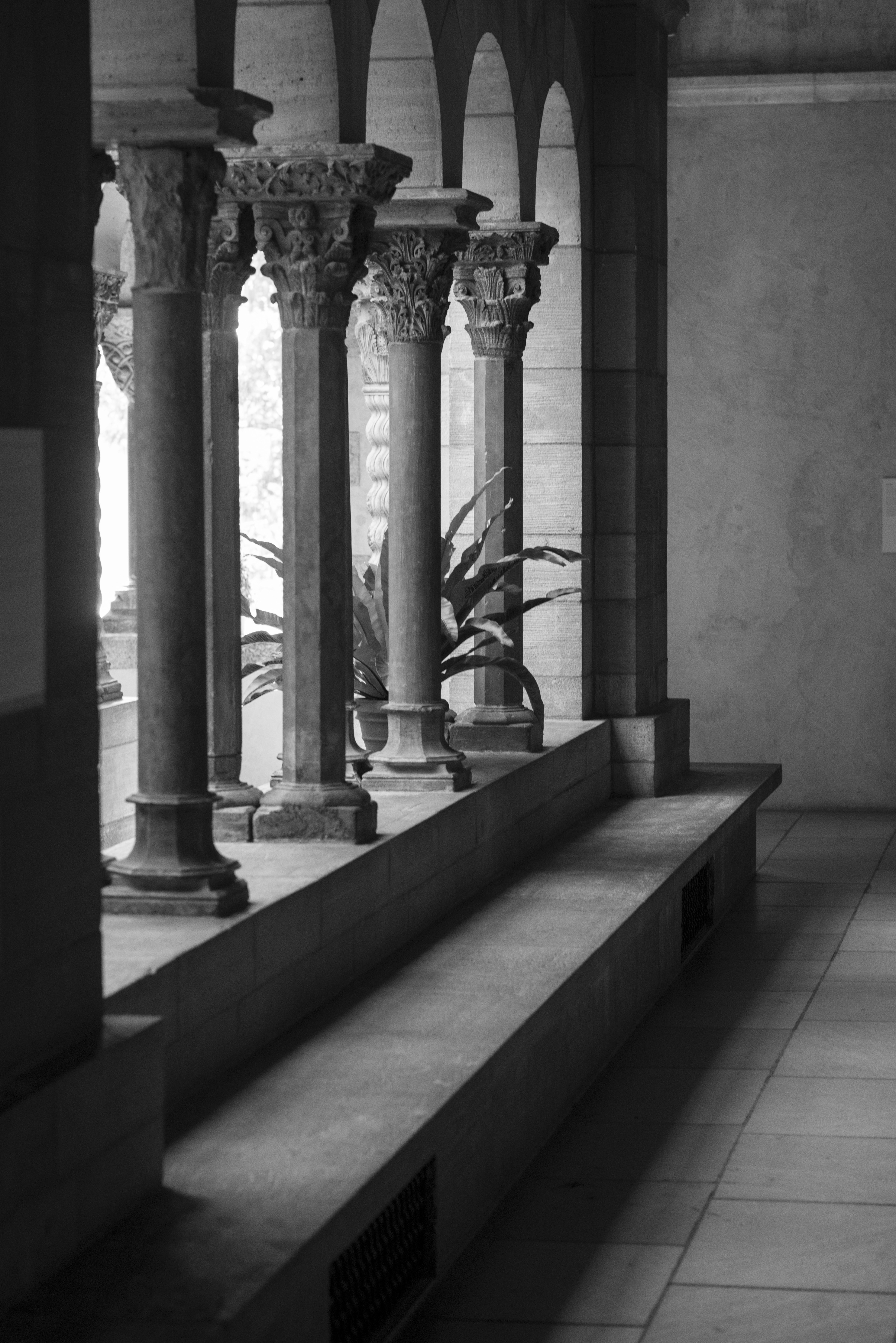 Ornate columns and arches in a monochrome gallery setting