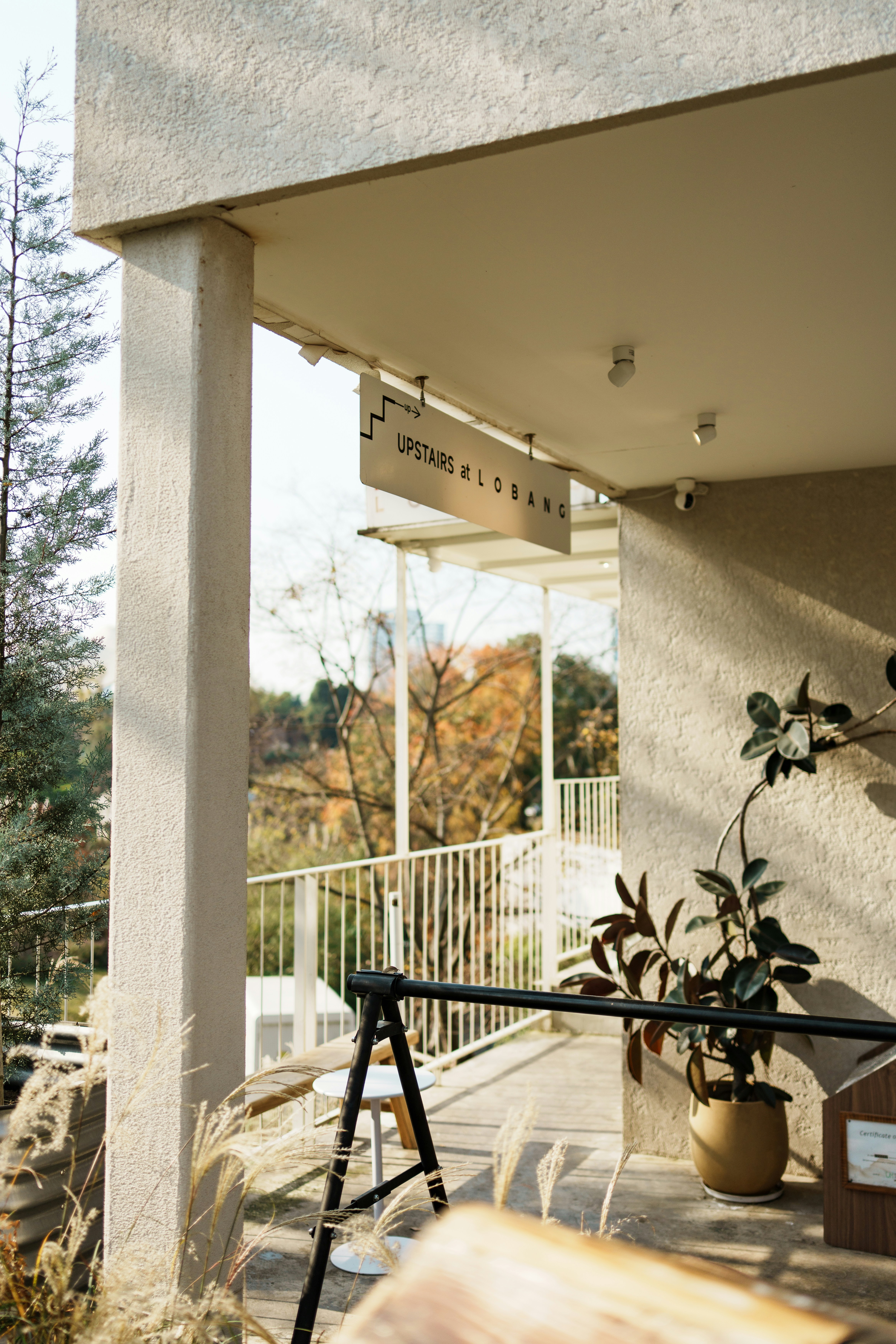 Outdoor cafe balcony with 'upstairs & coffee' sign and plant.