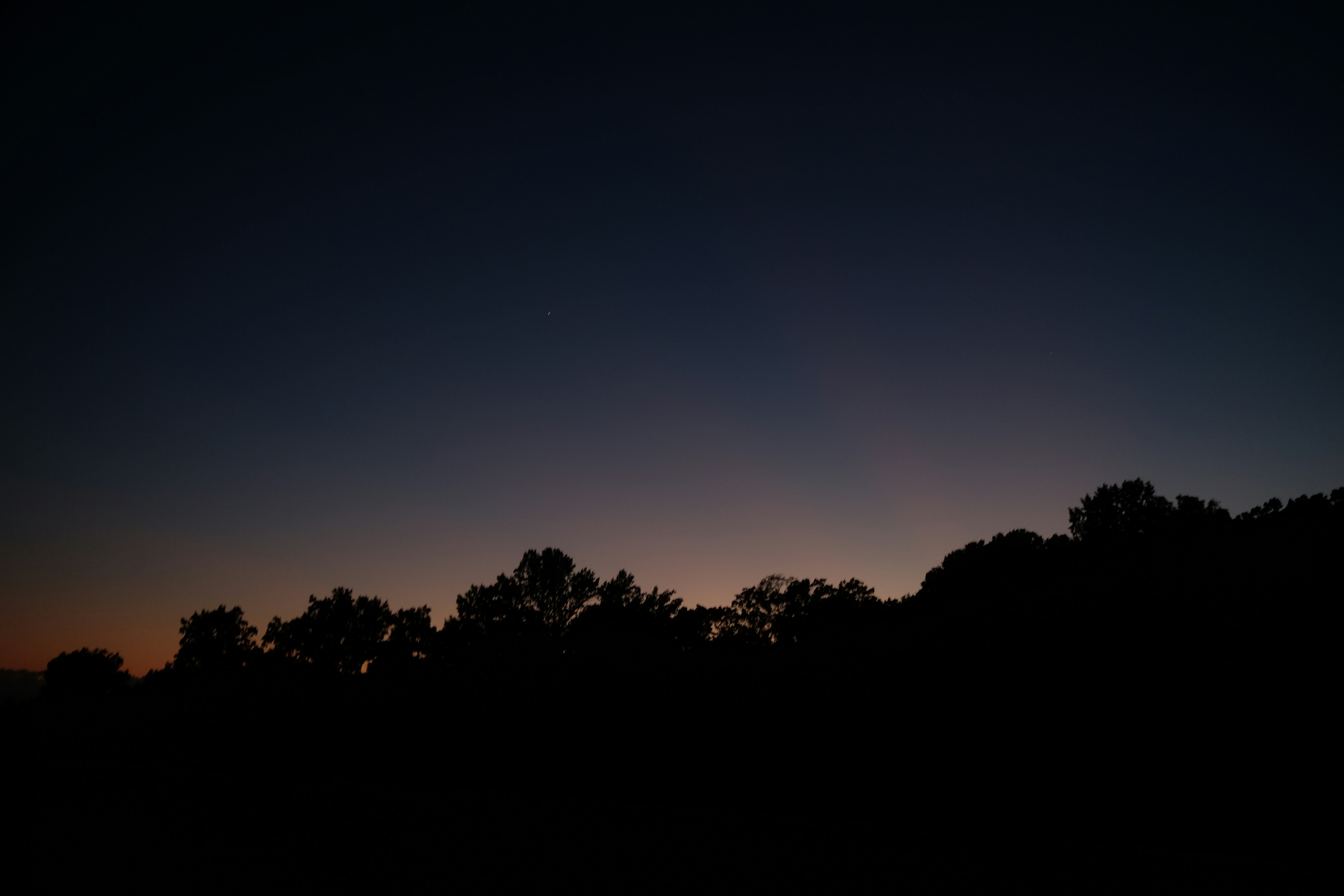 Silhouetted trees against a twilight sky with a faint glow.