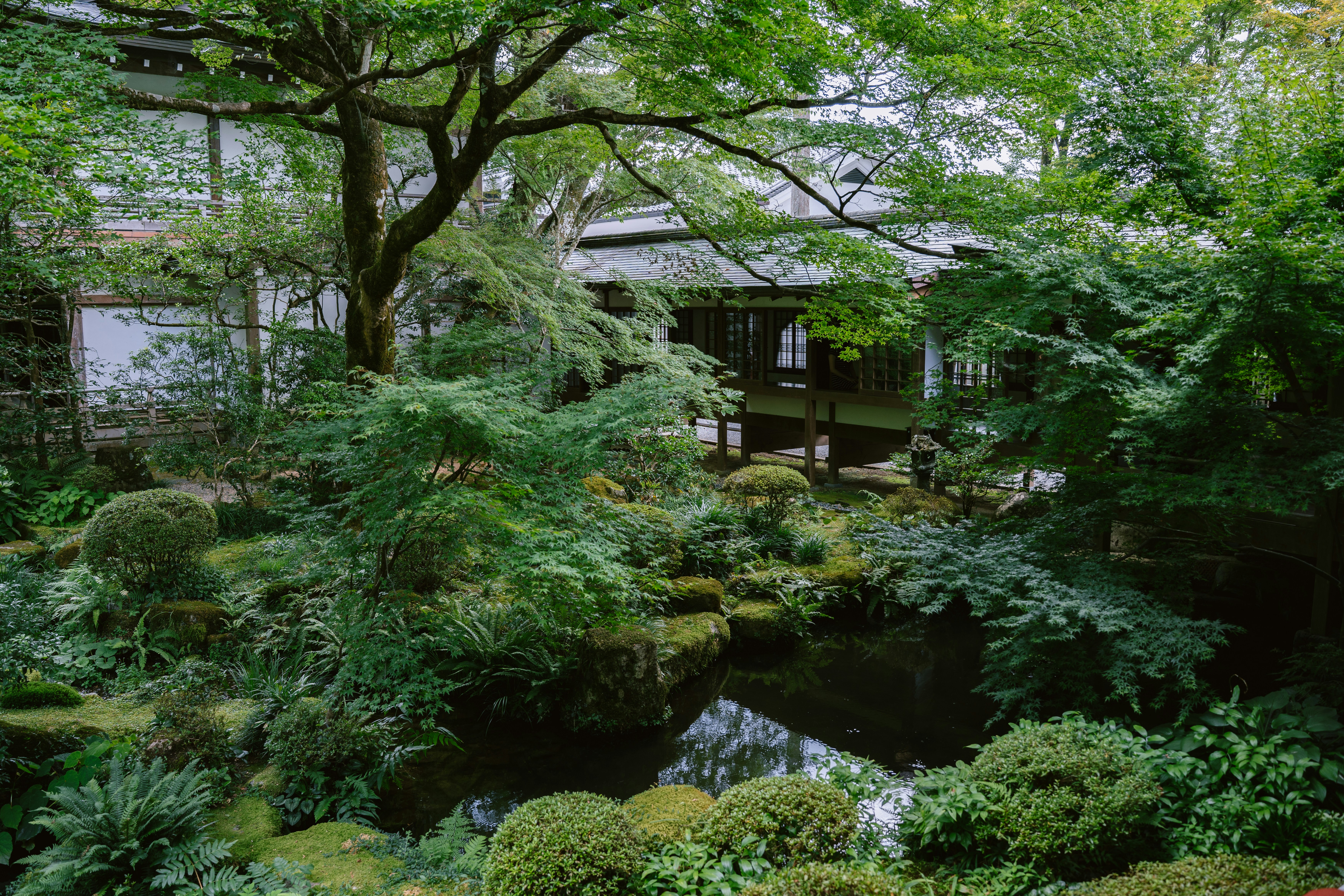 The Still Lake Within: A Beginner's Meditation for Inner Peace