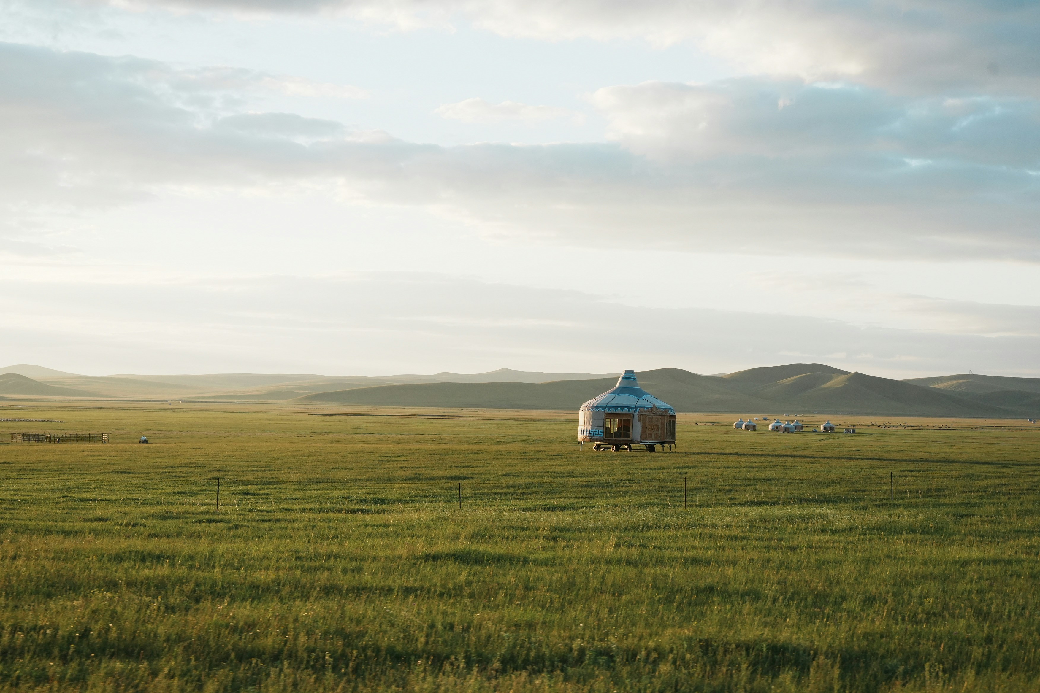 A solitary yurt in a green steppe with grazing animals