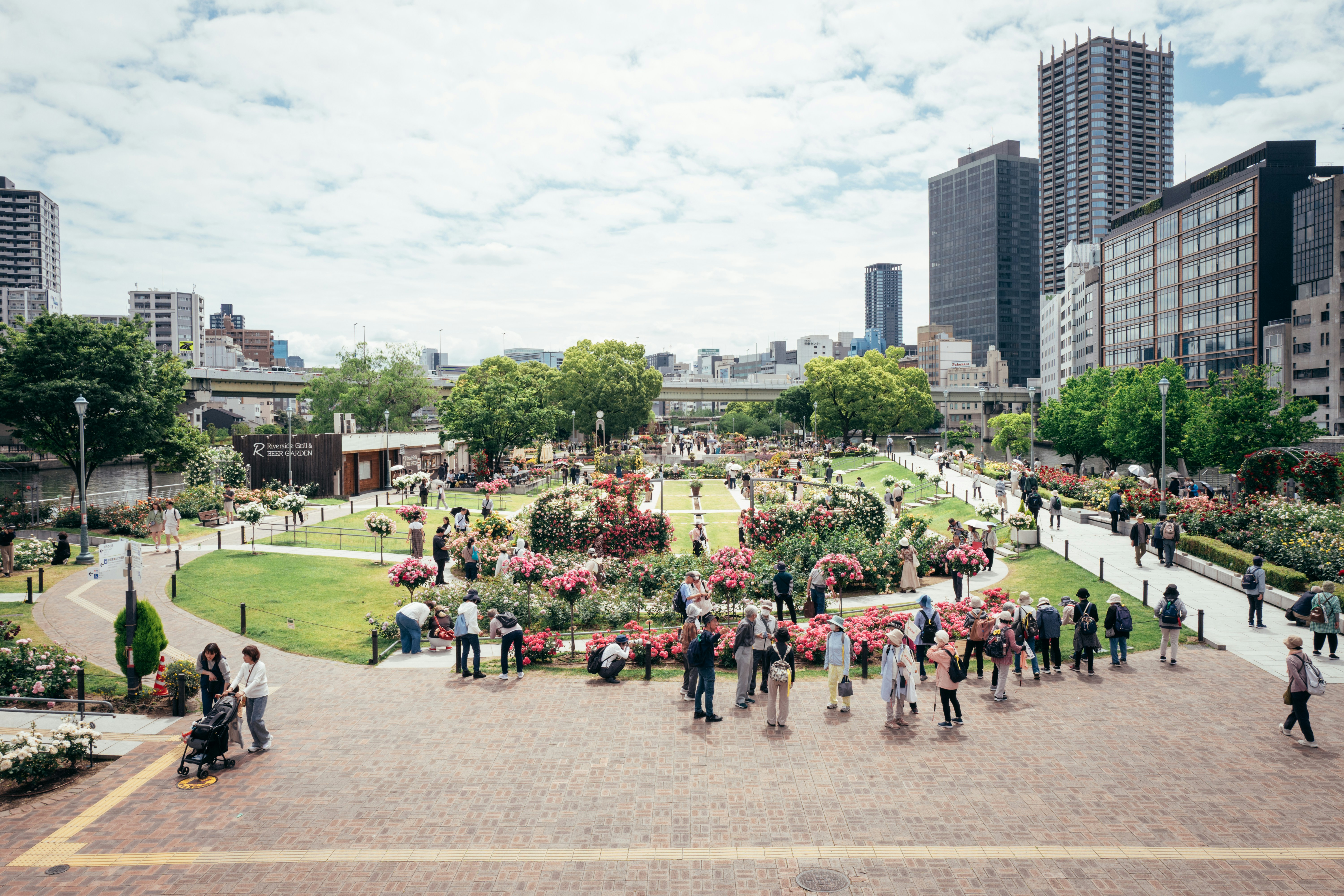 People enjoying a beautiful rose garden in a city park
