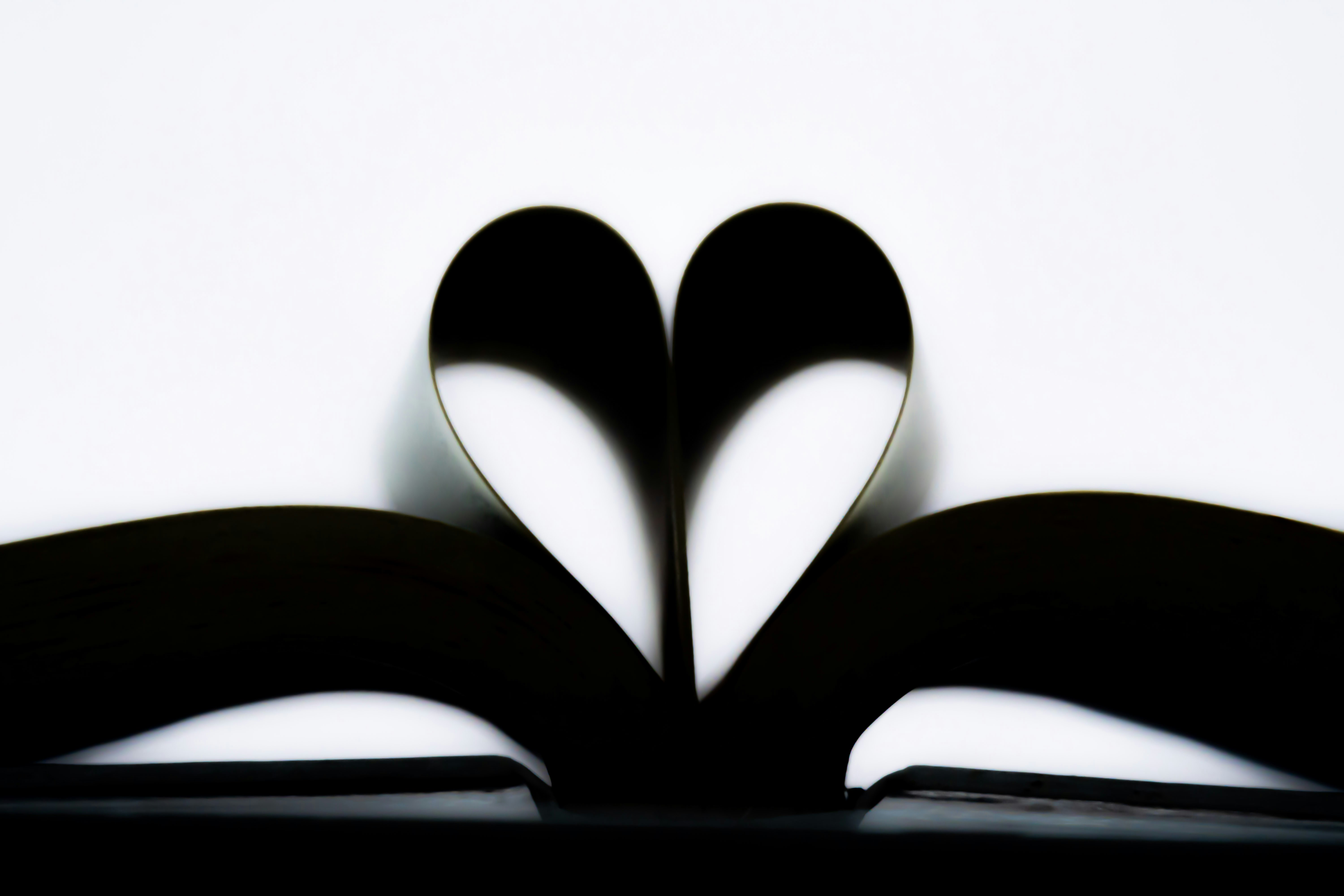 An open book with pages folded into a heart shape