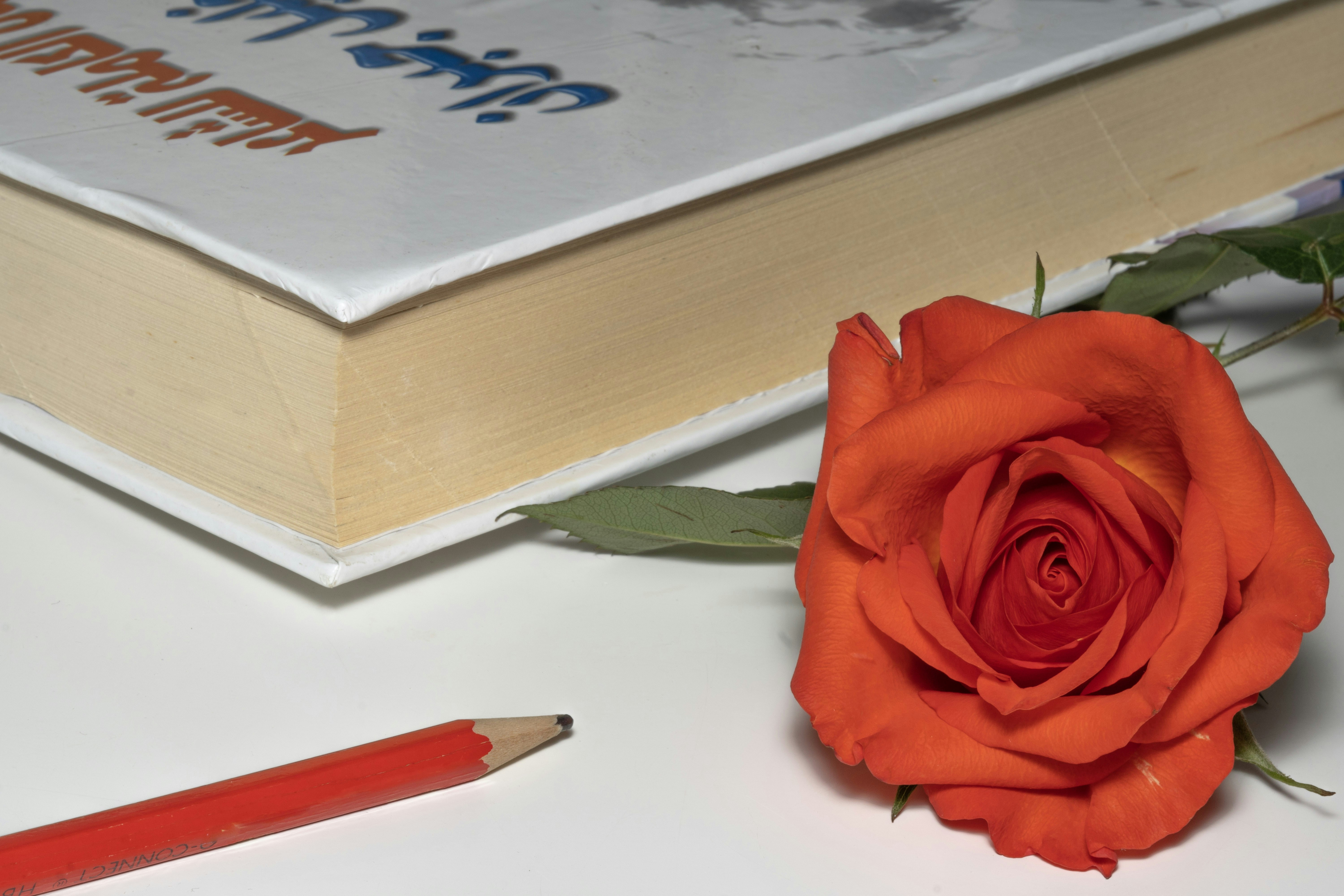 Livro aberto e lápis vermelho sobre a página, simbolizando a revisão do texto antes da impressão.