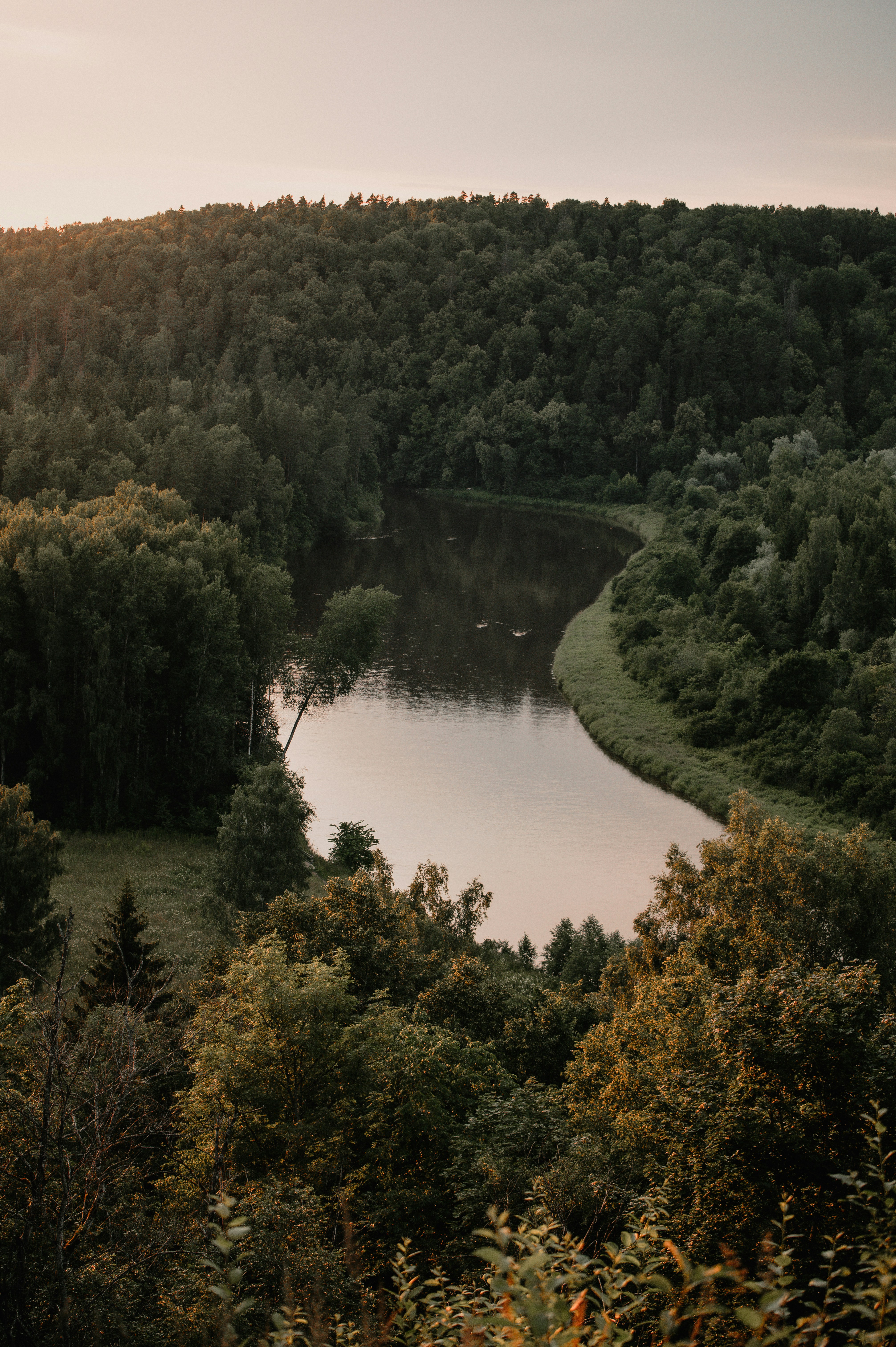 A winding river flows through a dense forest at sunset.