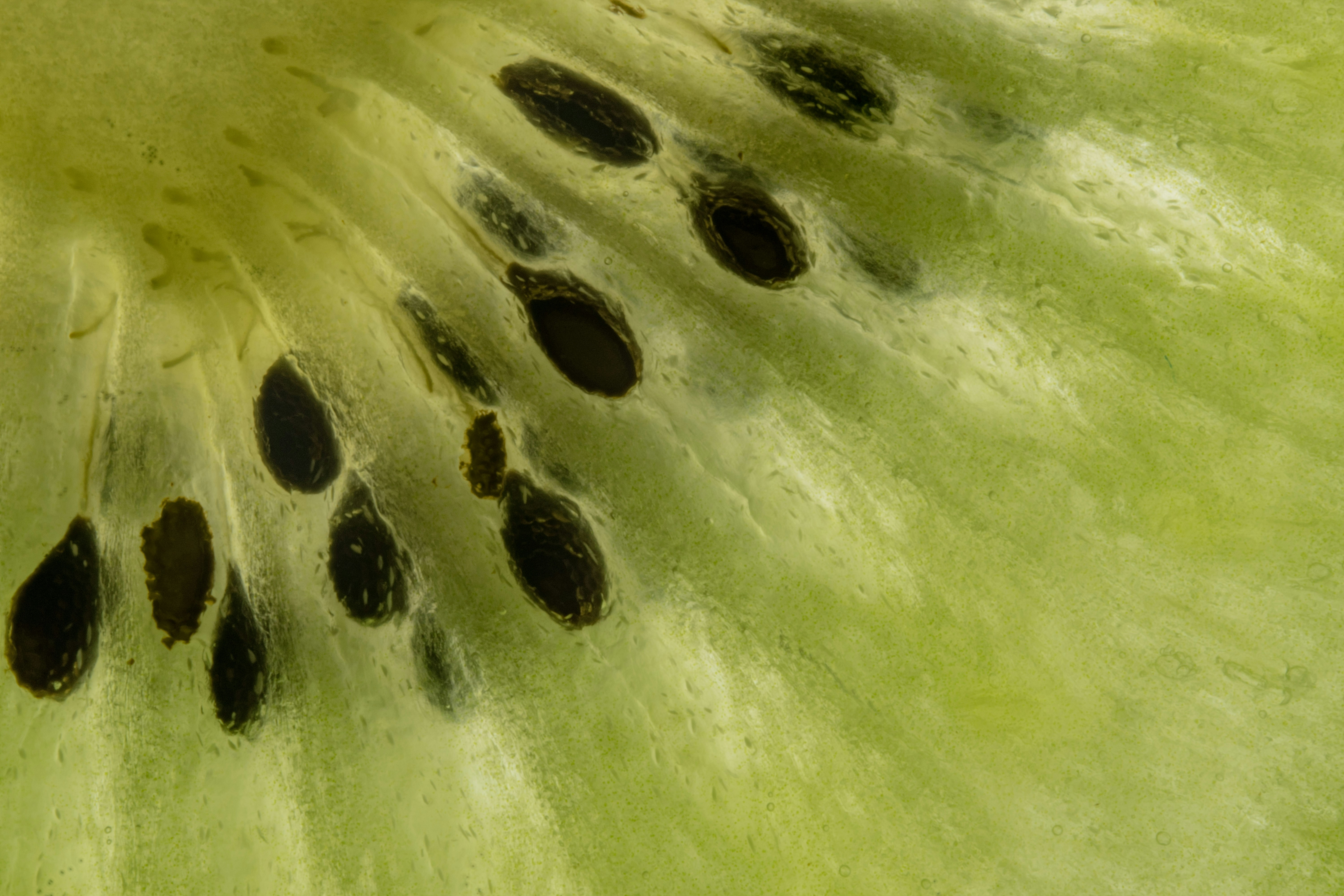 Close-up of green kiwi fruit flesh with black seeds