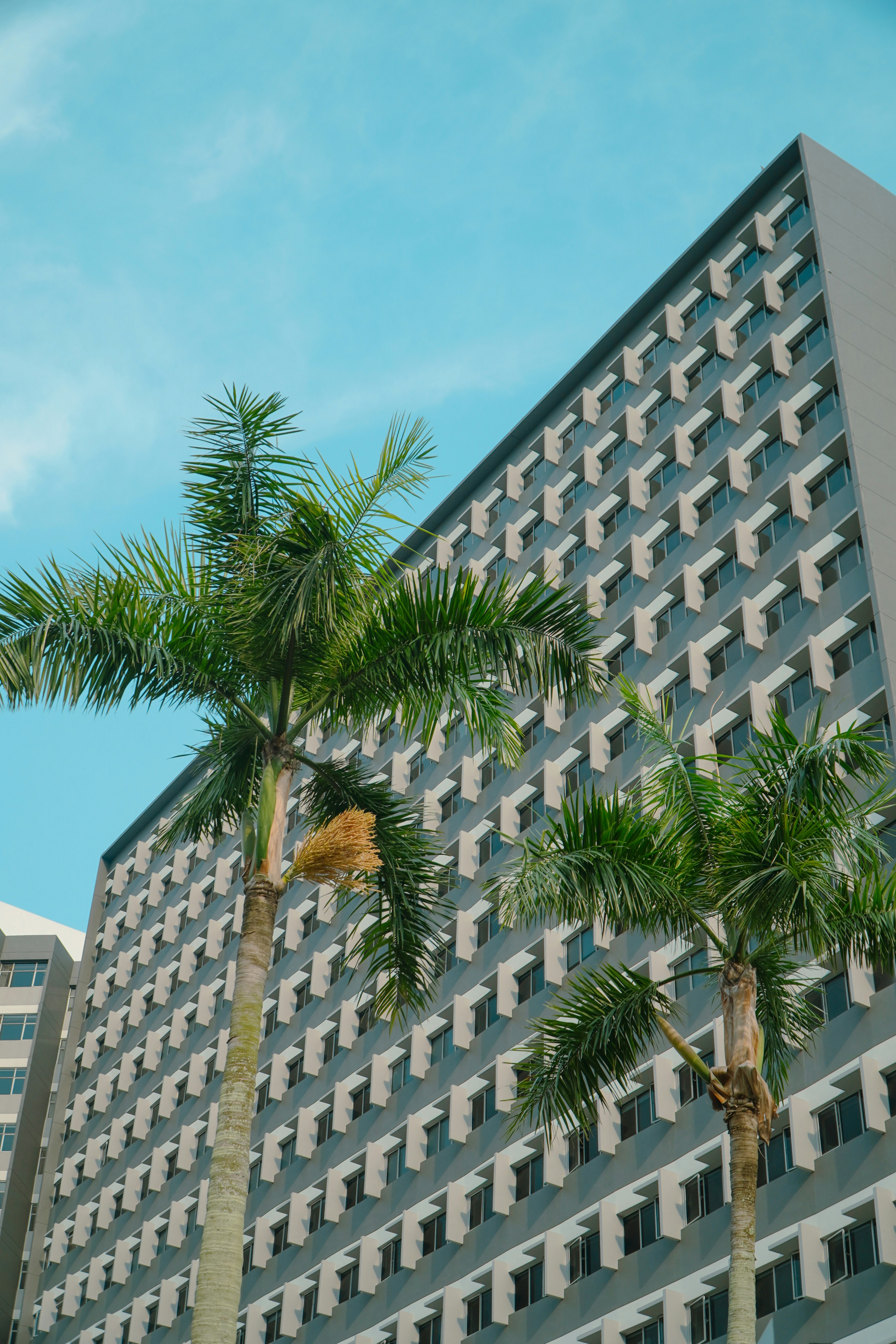 Edificio moderno de gran altura con palmeras contra un cielo azul