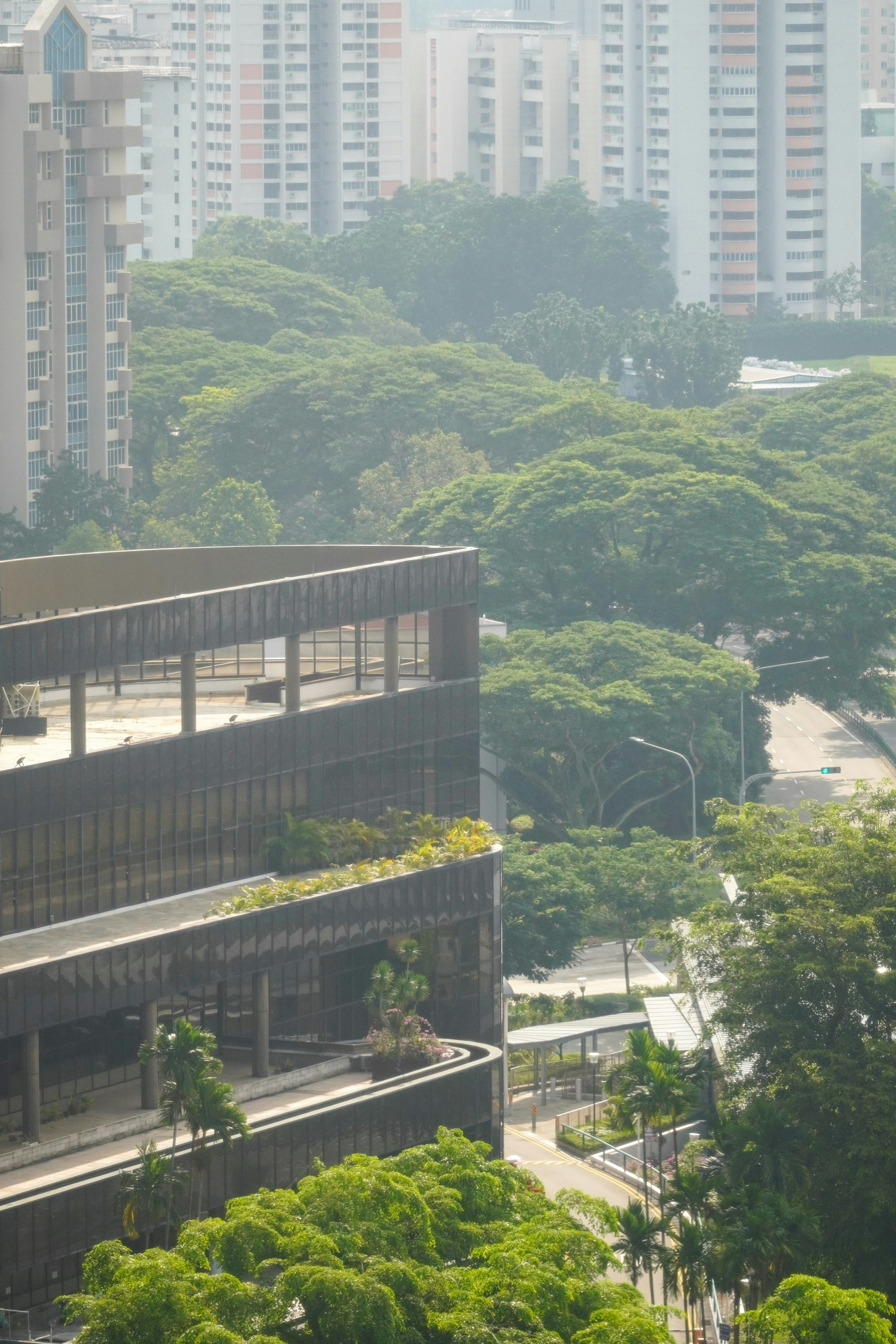 Edificio moderno rodeado de árboles frondosos y apartamentos lejanos en la ciudad