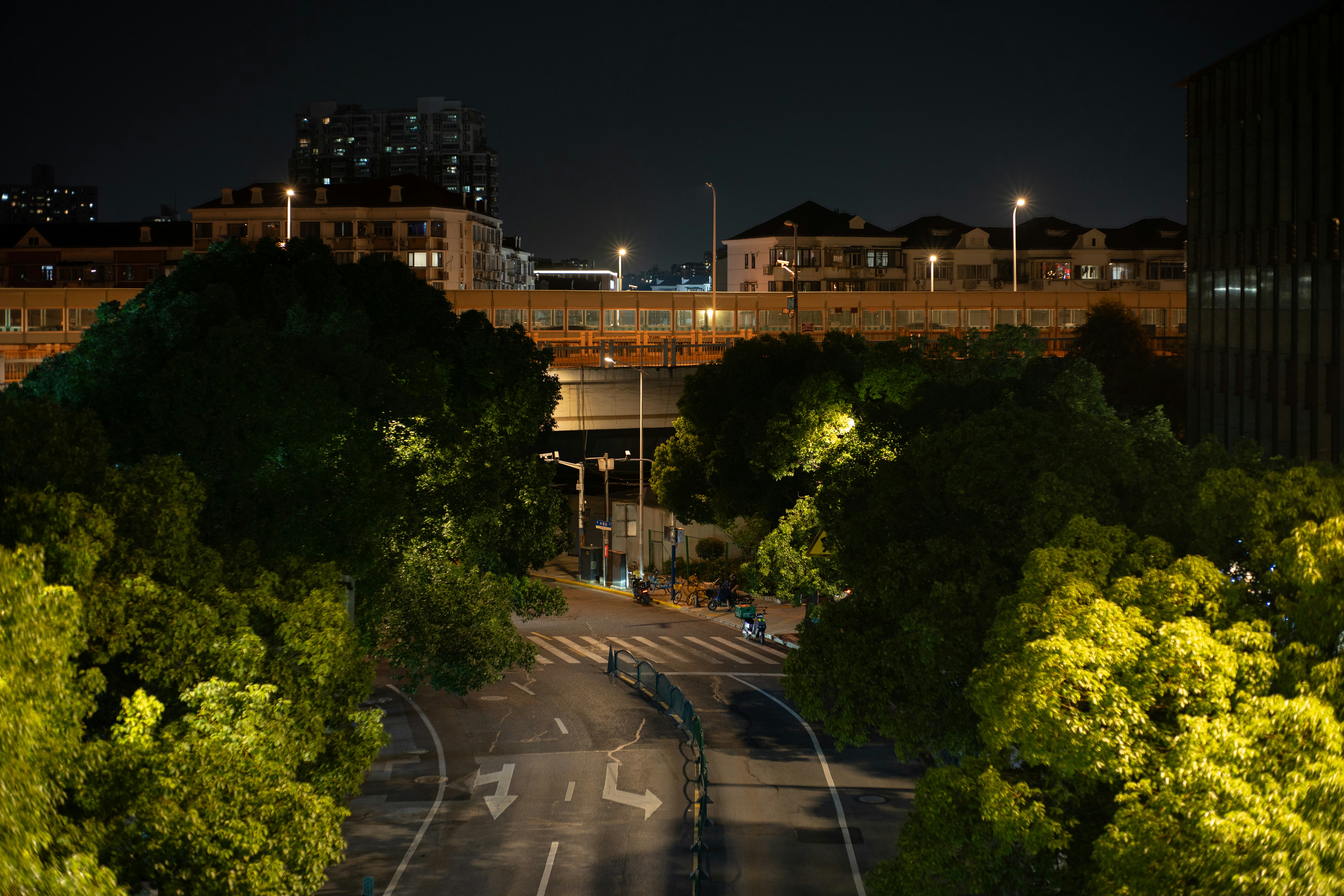 A city street at night surrounded by trees and buildings.