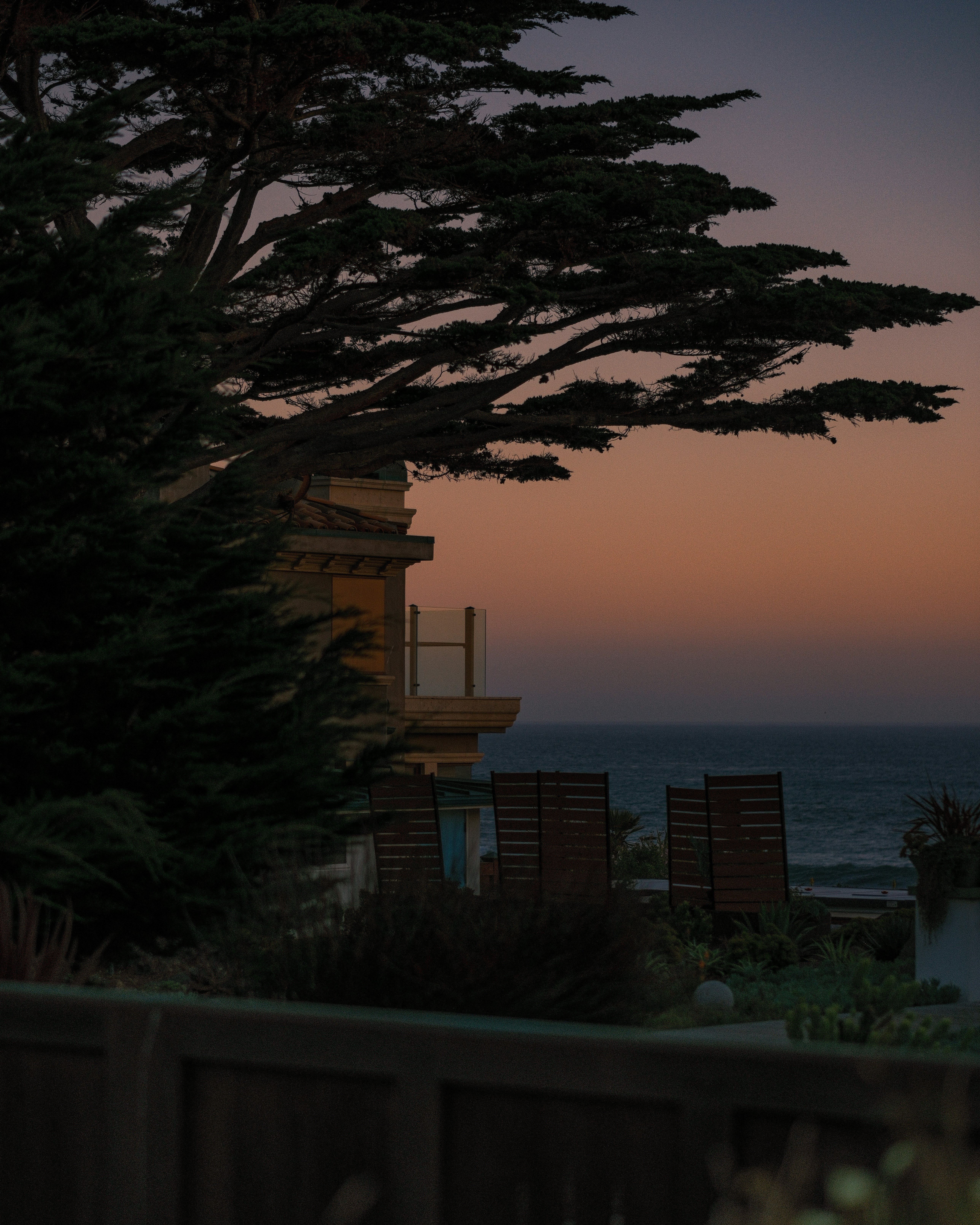 Sunset over ocean with a large tree and building.