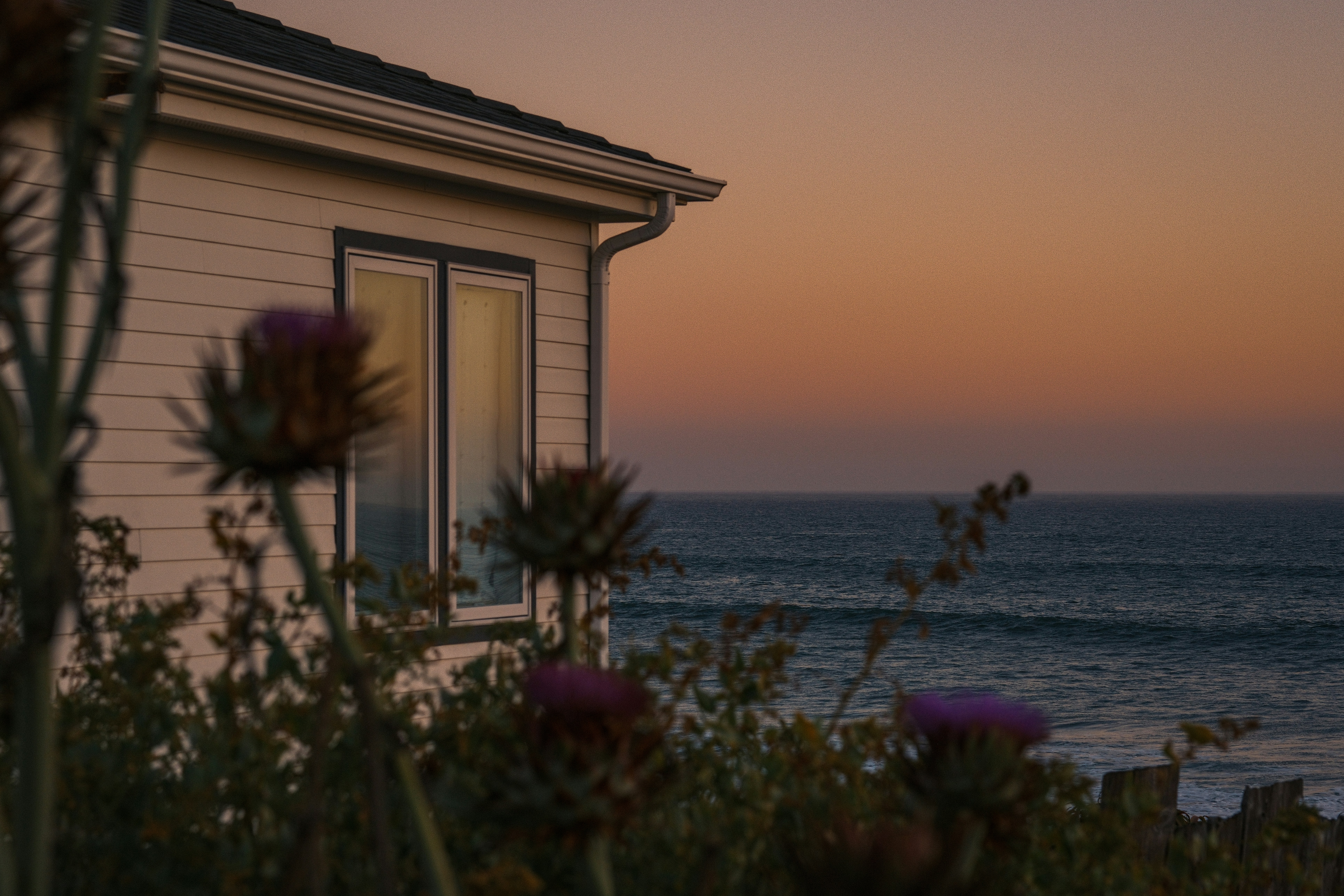 A white house overlooks the ocean at sunset with plants.
