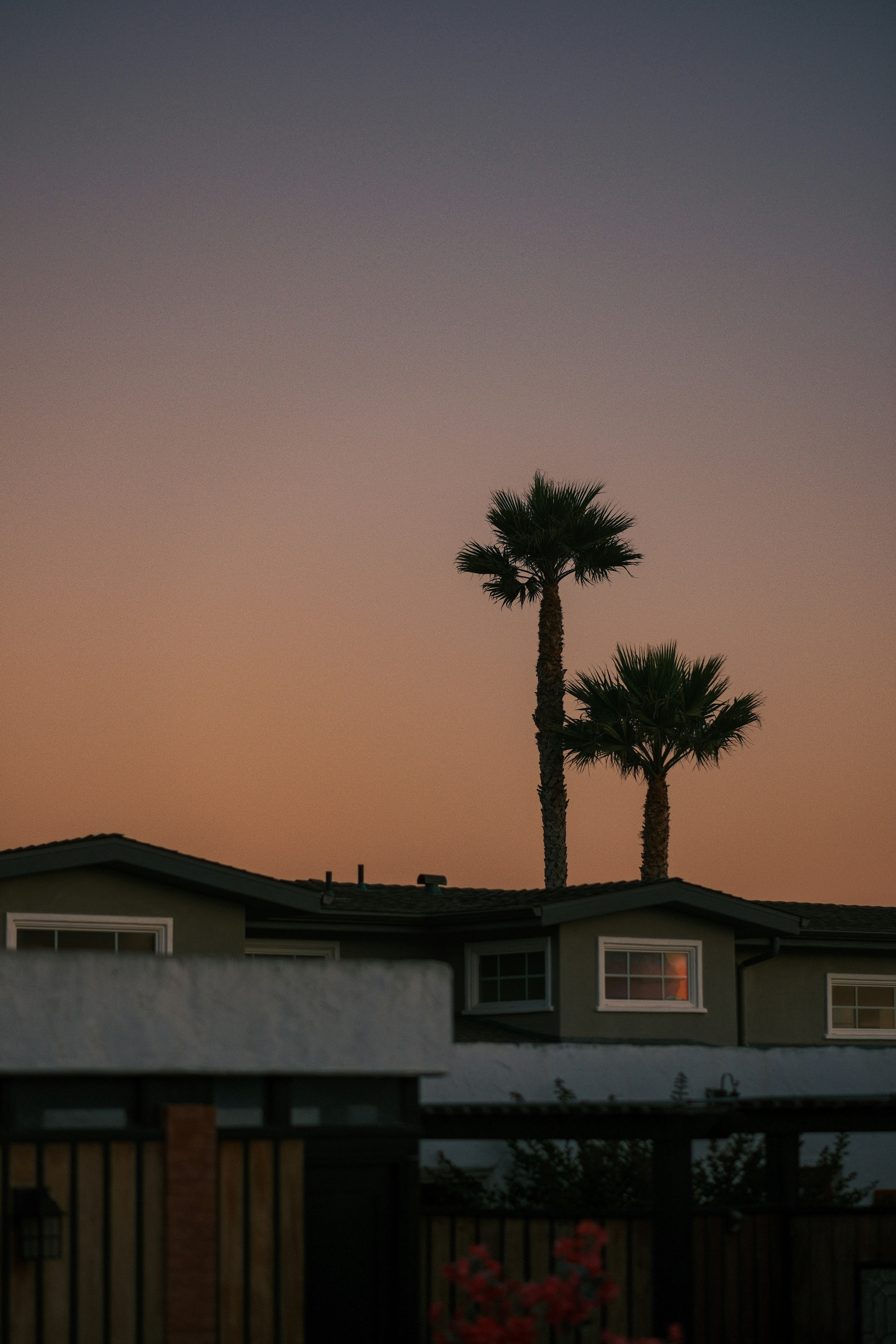 Palm trees and houses silhouetted against a sunset sky.