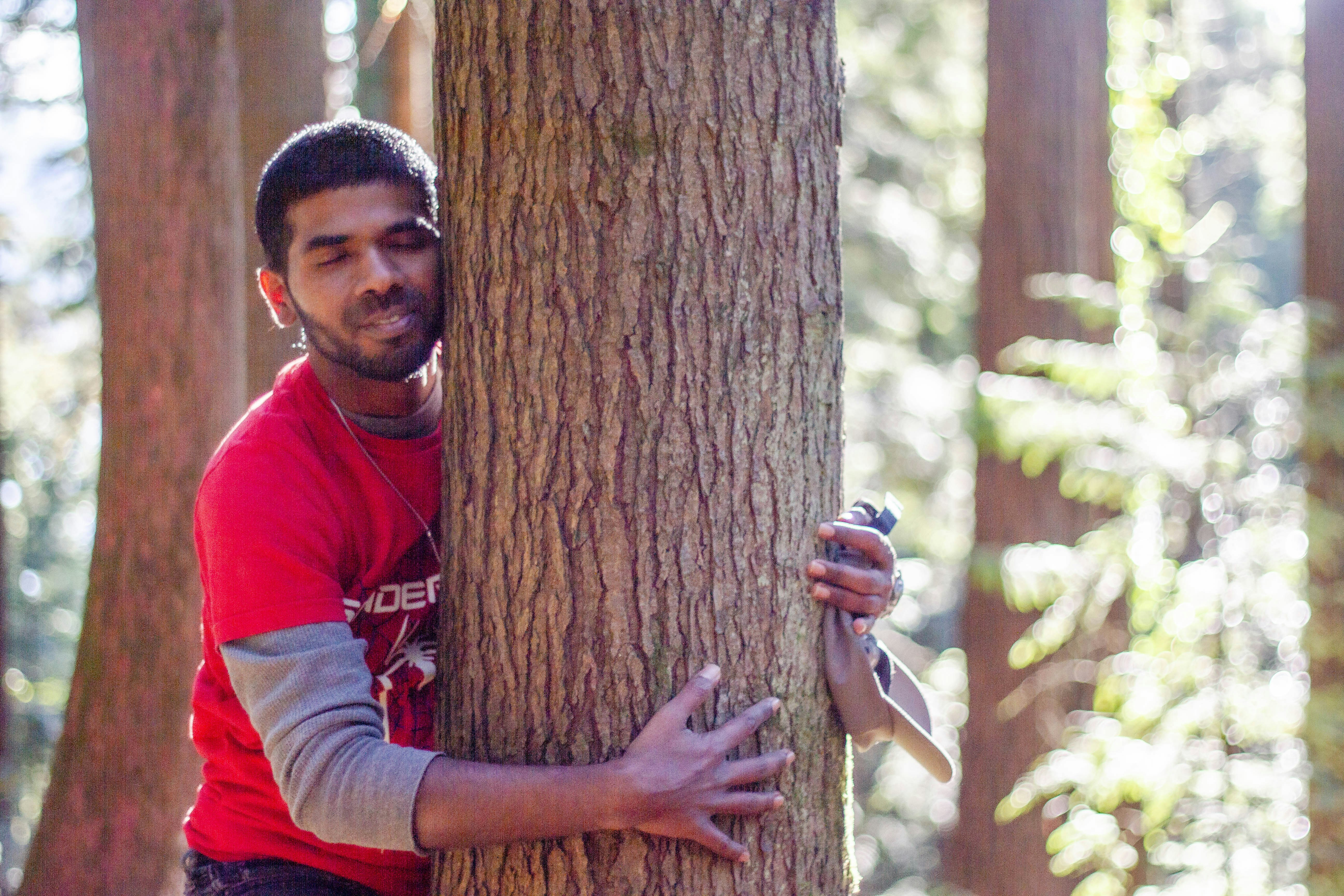 Man hugging a tree in a sunny forest