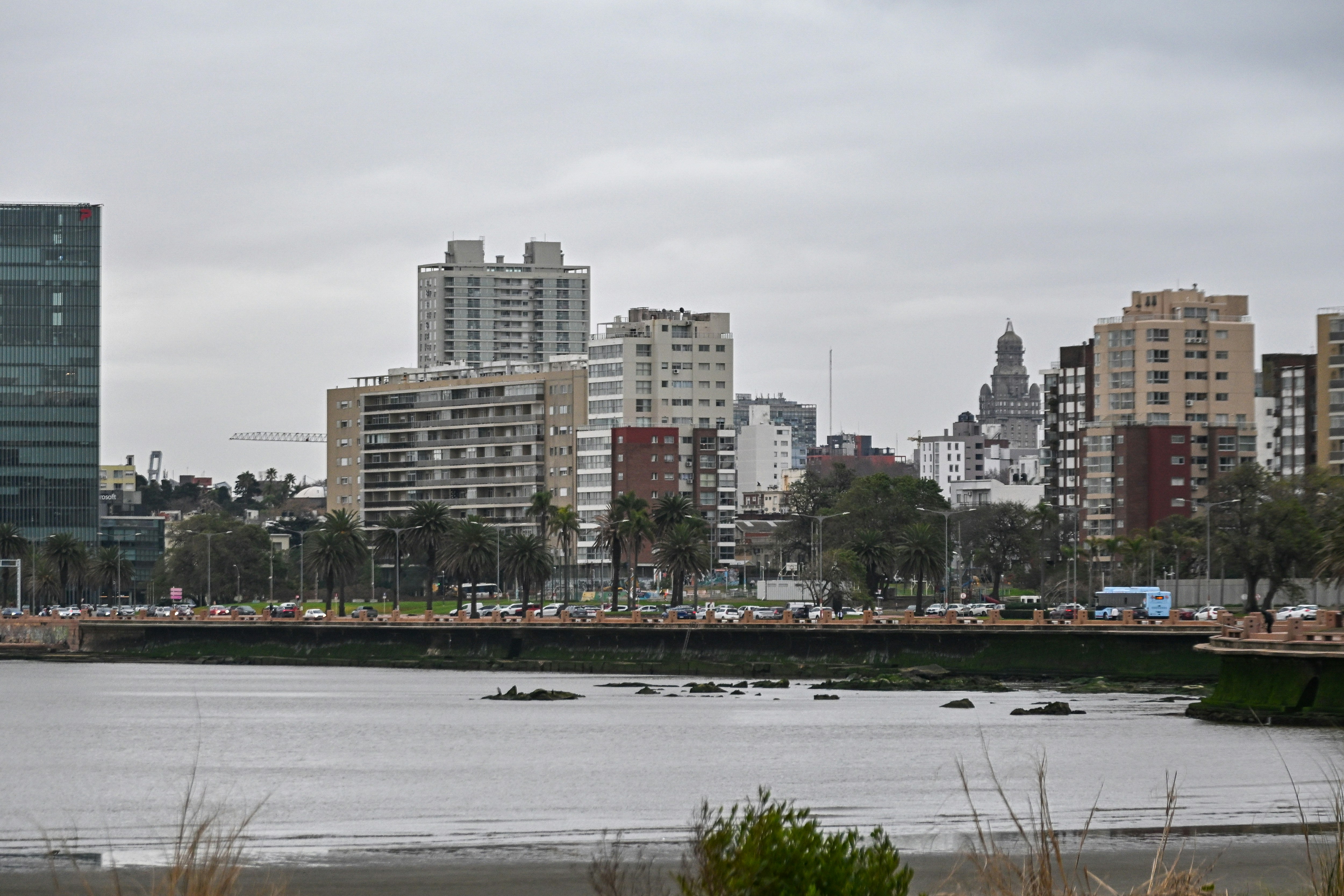 Chihuahua, Uruguay