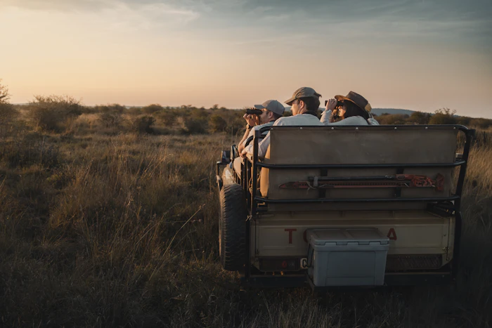 Game drive at sunset