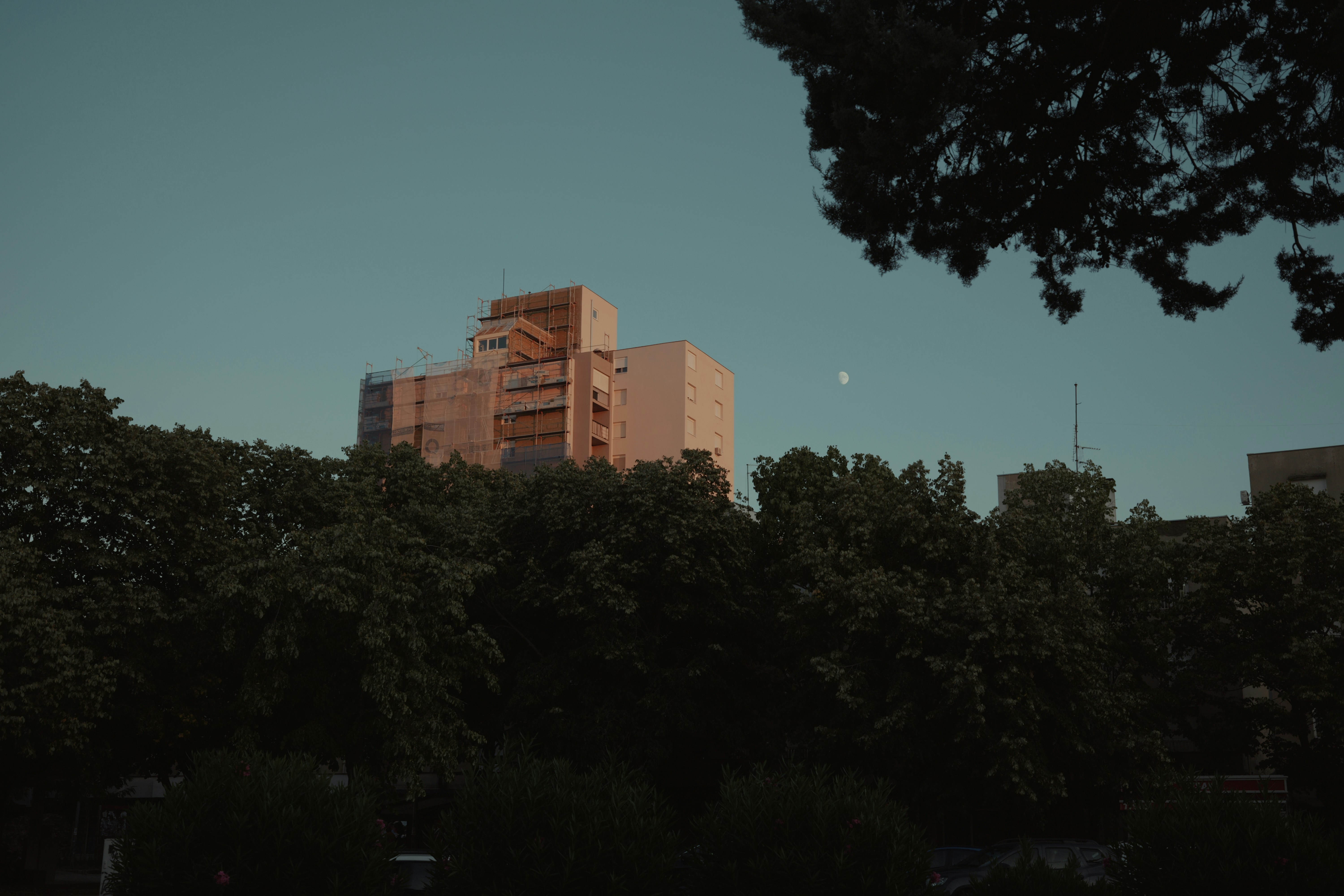 Building glowing behind dark trees under a moonlit sky