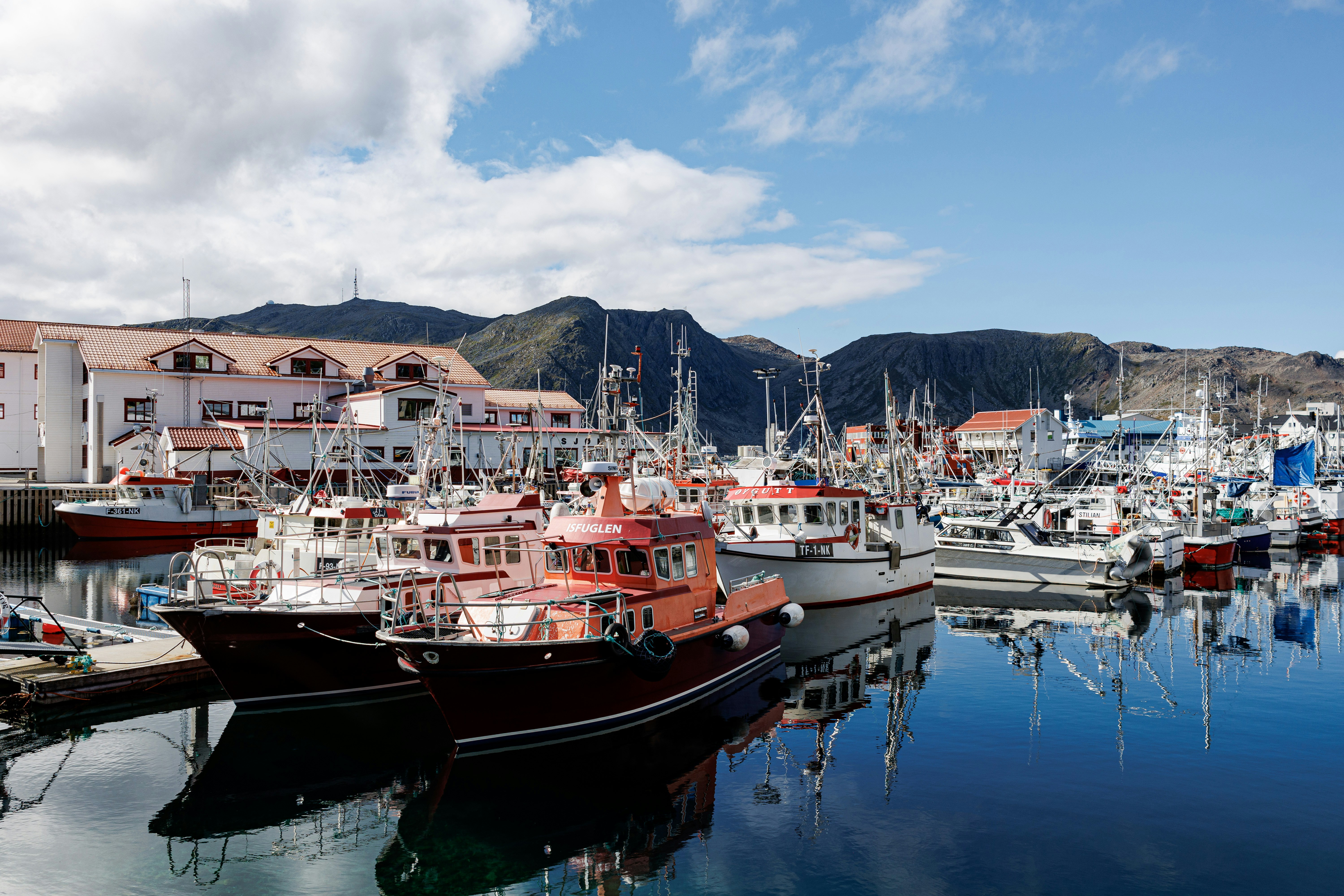 Fishing boats docked in a bustling harbor with mountain backdrop.