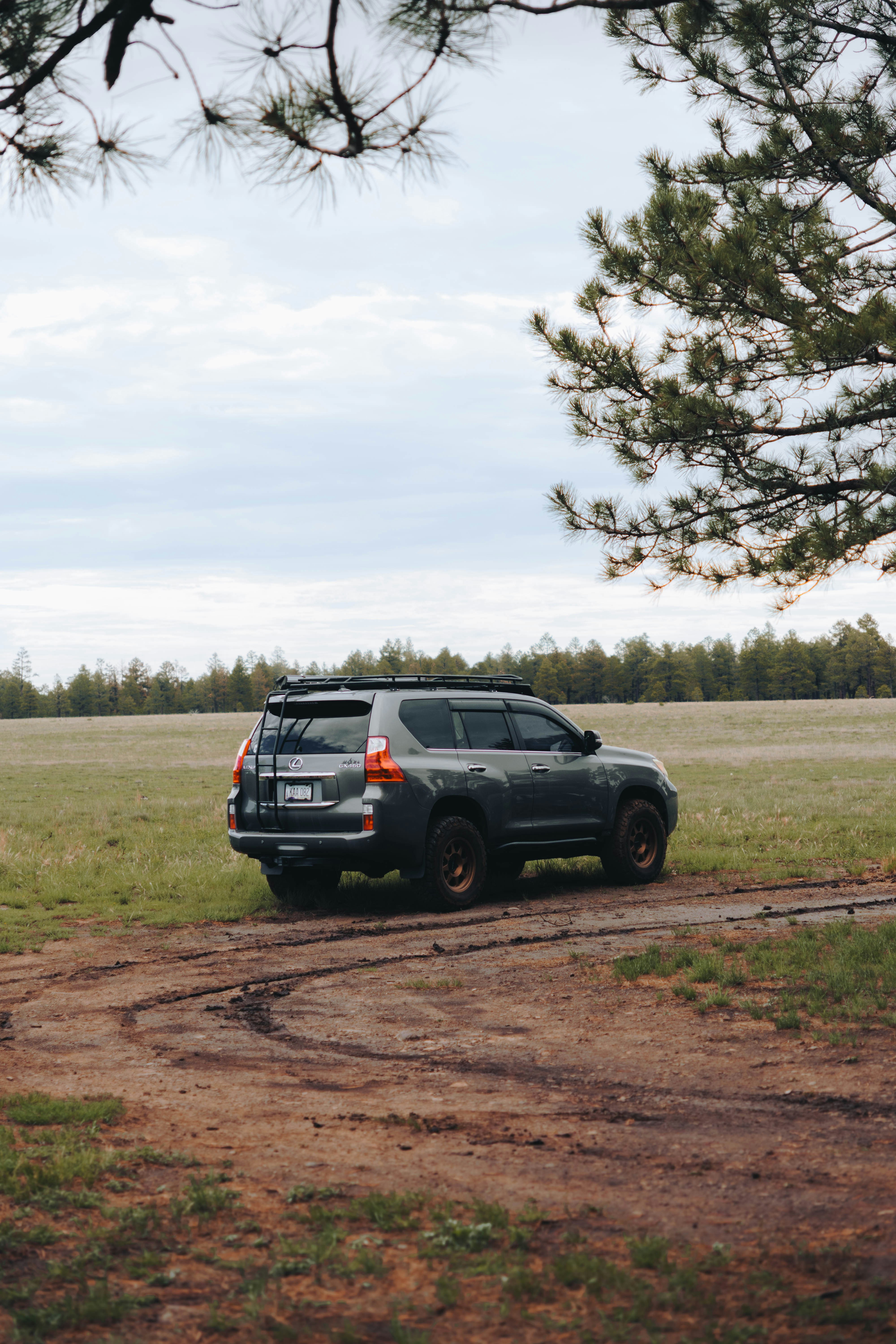 SUV oscuro en pista de tierra en campo verde
