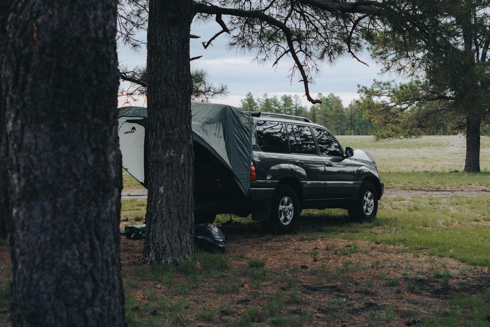 Dark SUV with a rear tent awning set up under pine trees