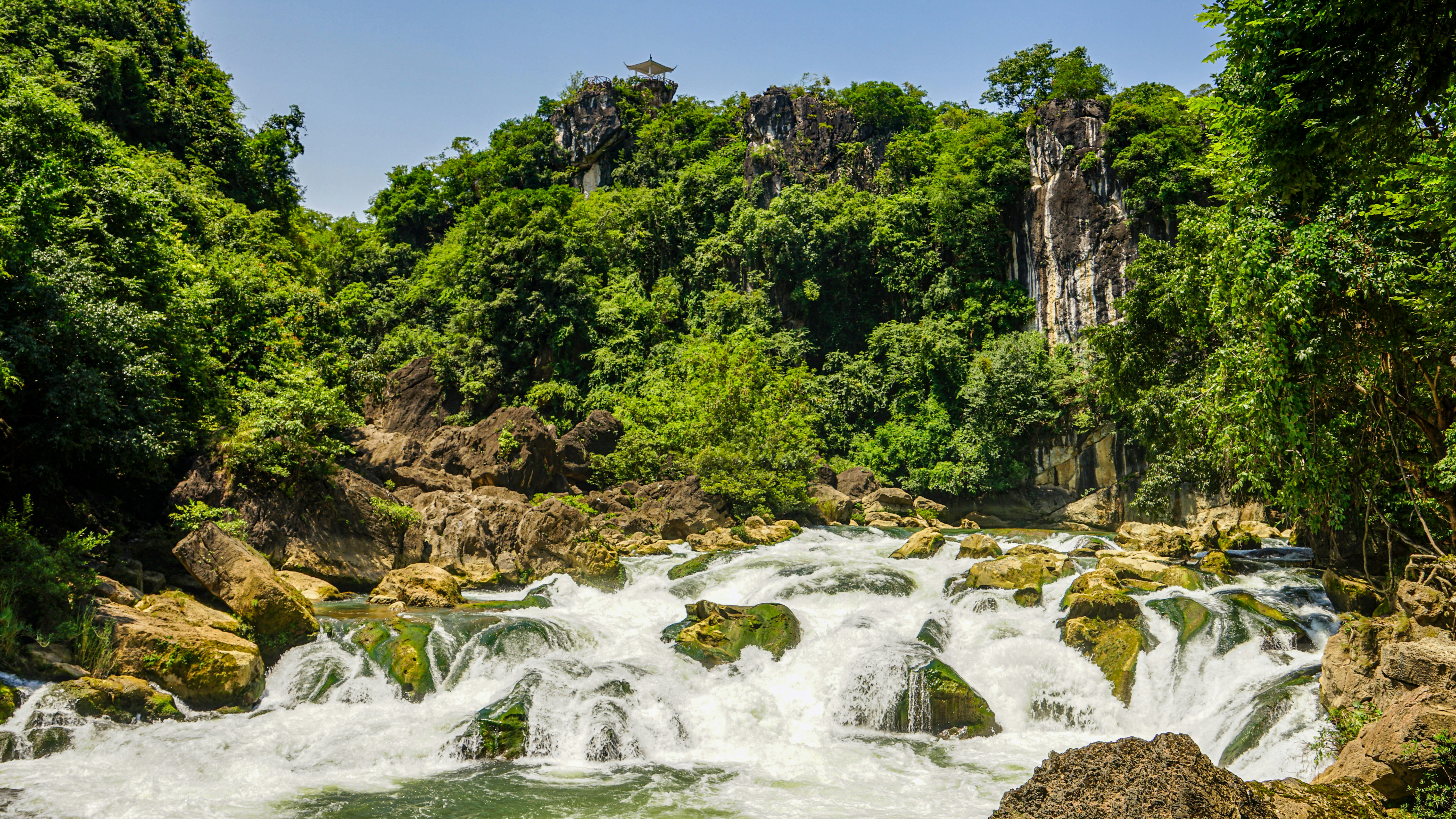 Una poderosa cascada cae sobre las rocas en medio de un frondoso bosque verde.