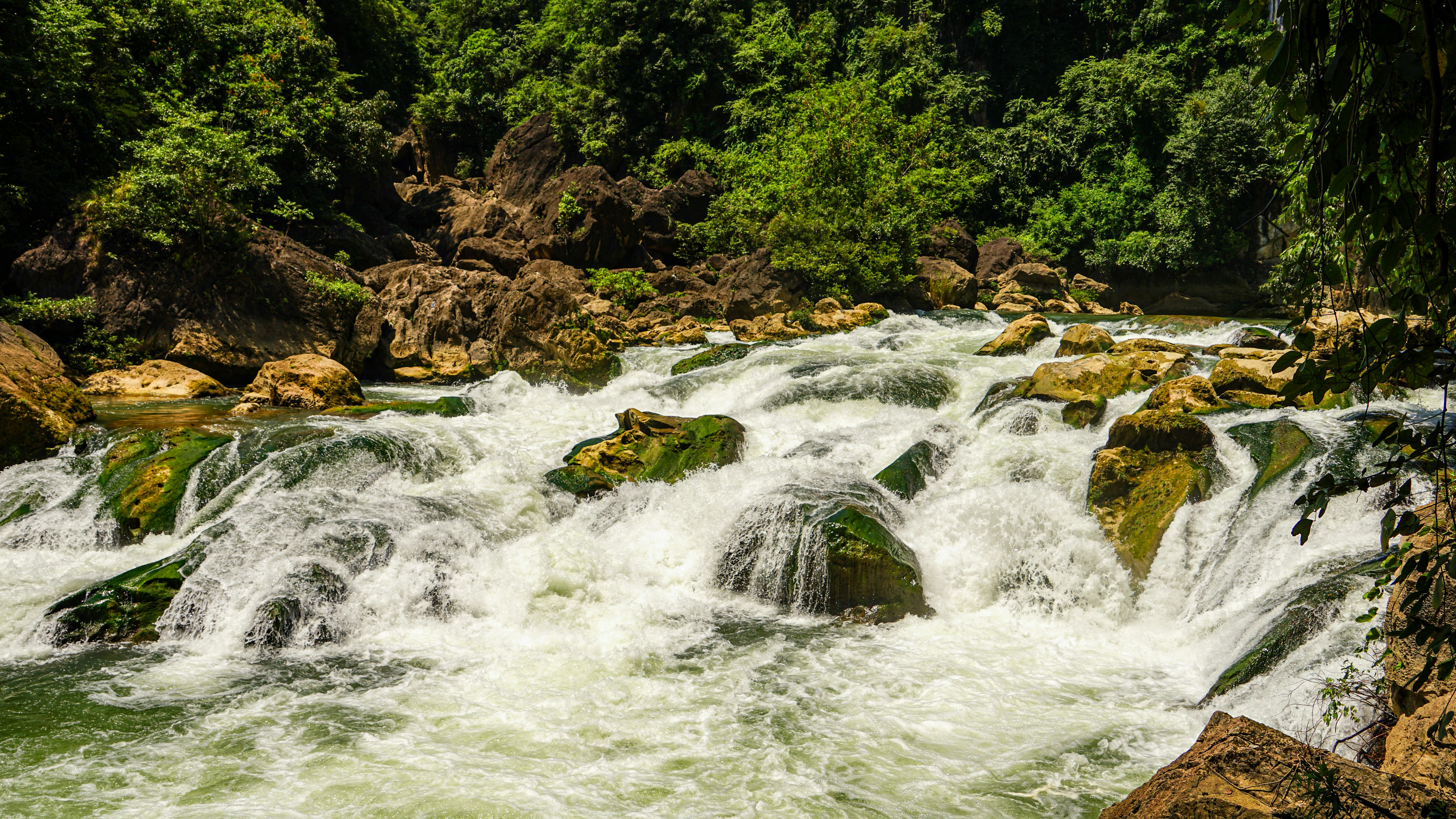Un río caudaloso cae sobre rocas cubiertas de musgo en un bosque exuberante.