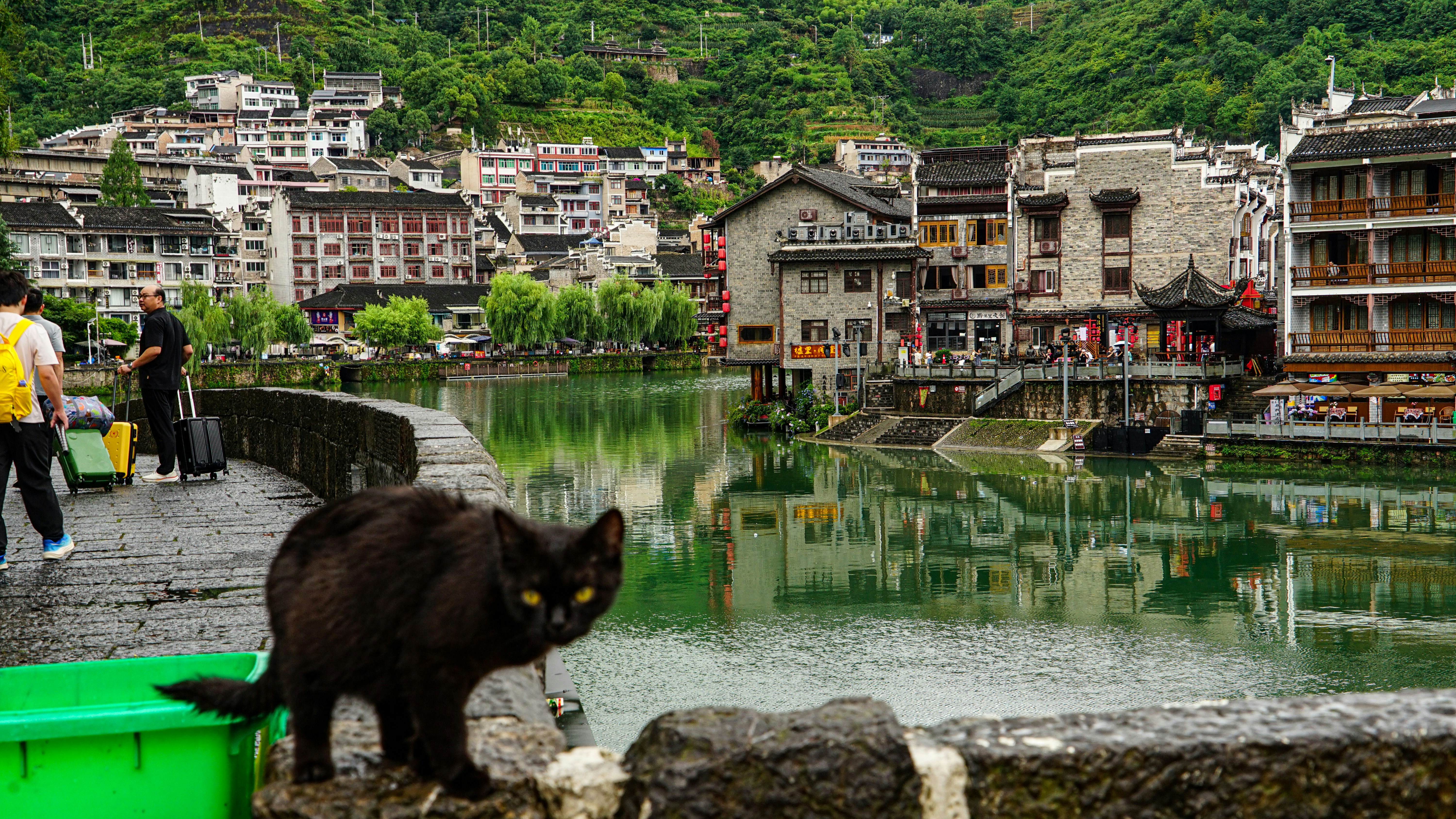 Gato negro en una pared en un pintoresco pueblo junto al río.