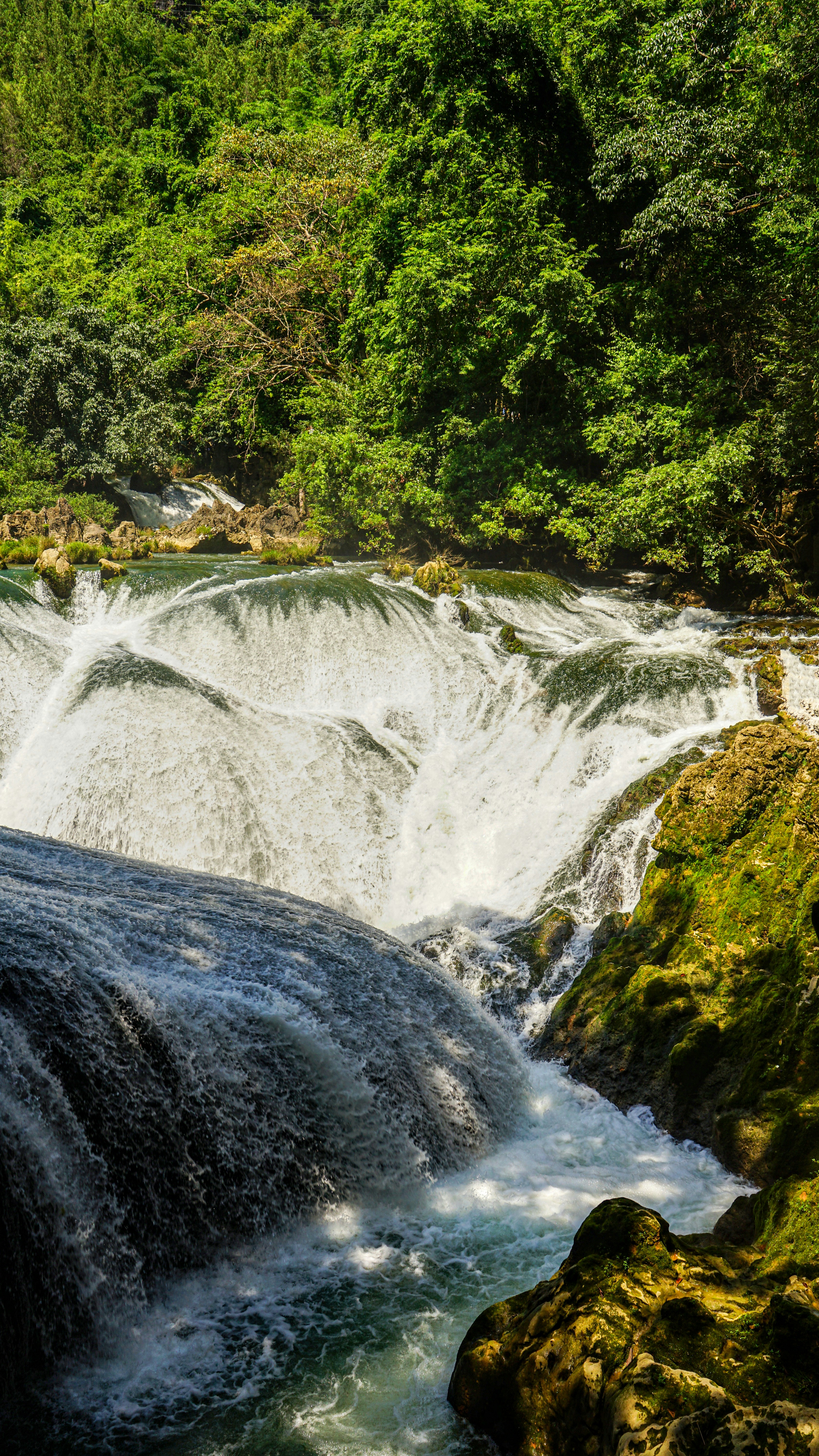 Cascadas que caen sobre rocas rodeadas de un bosque verde y frondoso.