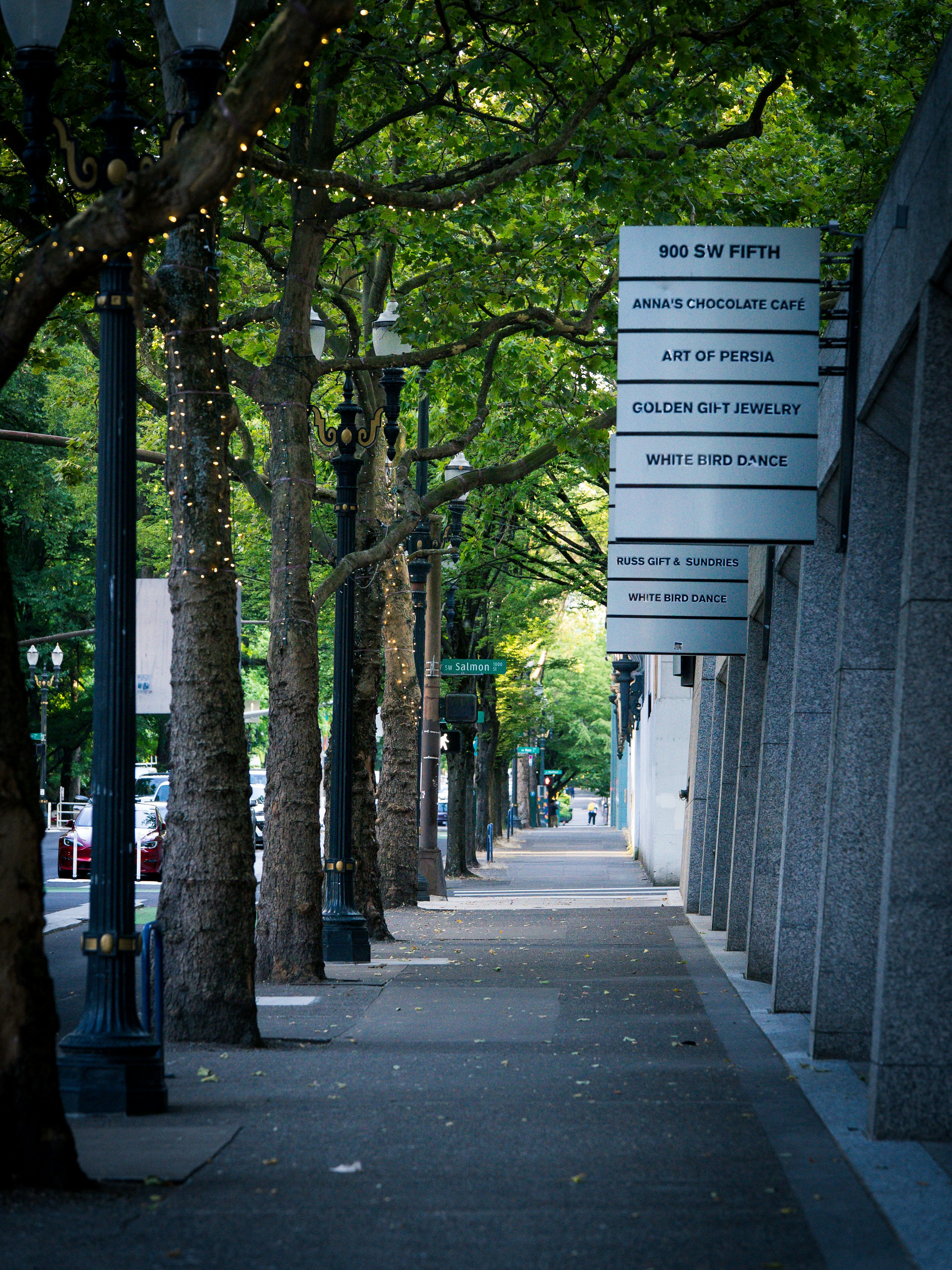A tree-lined city sidewalk with street lamps and business signs