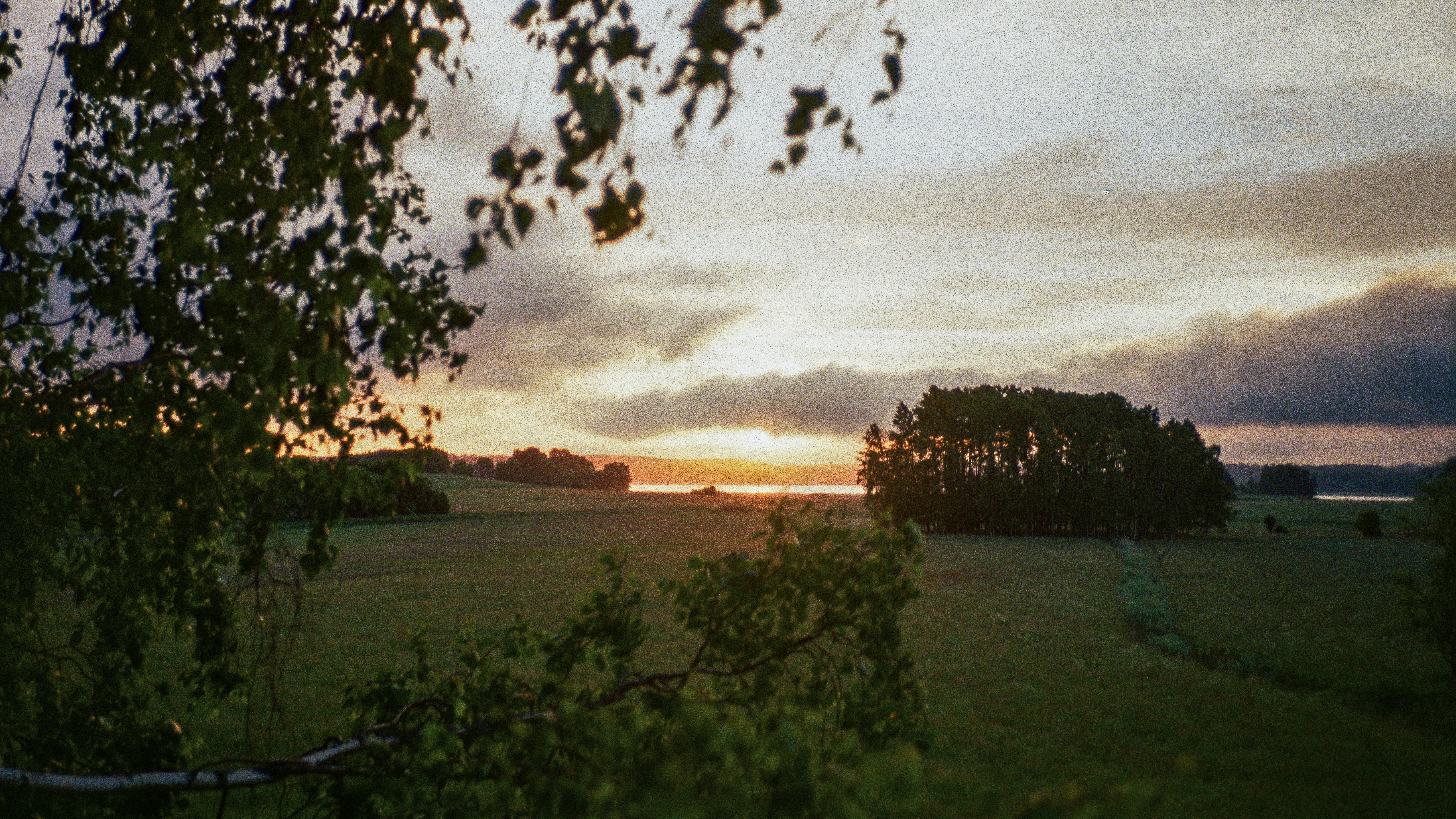 Sunset over a calm field with trees and water