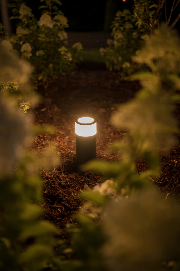 Landscape Lighting in Orange Park, FL