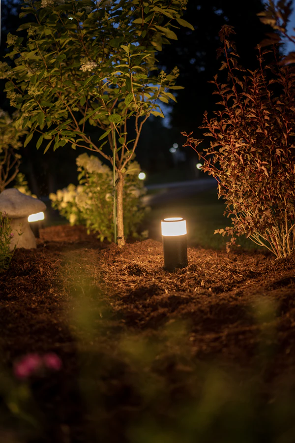 Landscape Lighting in Bethesda, MD