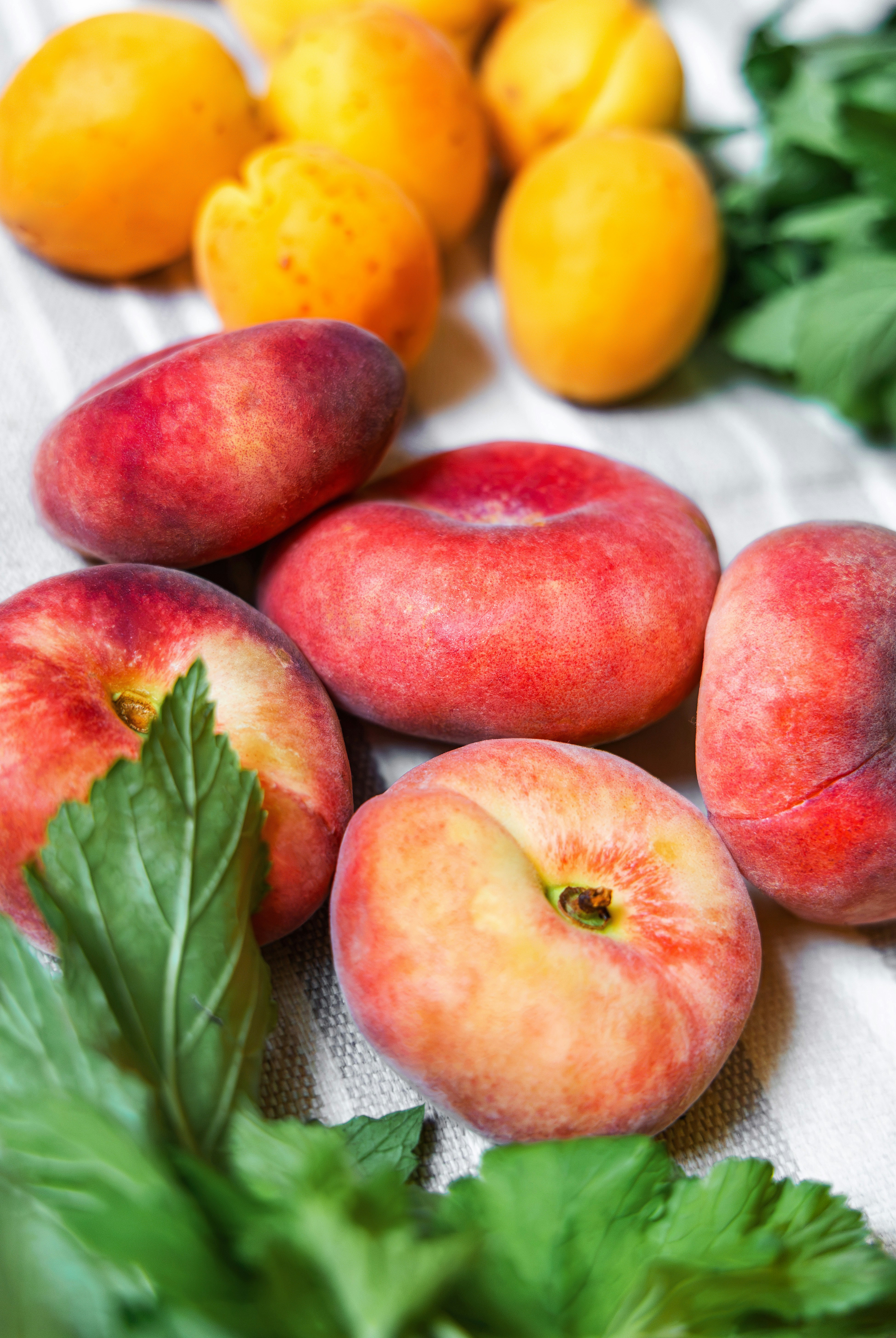 Flat peaches, regular peaches, apricots, and green leaves on cloth.