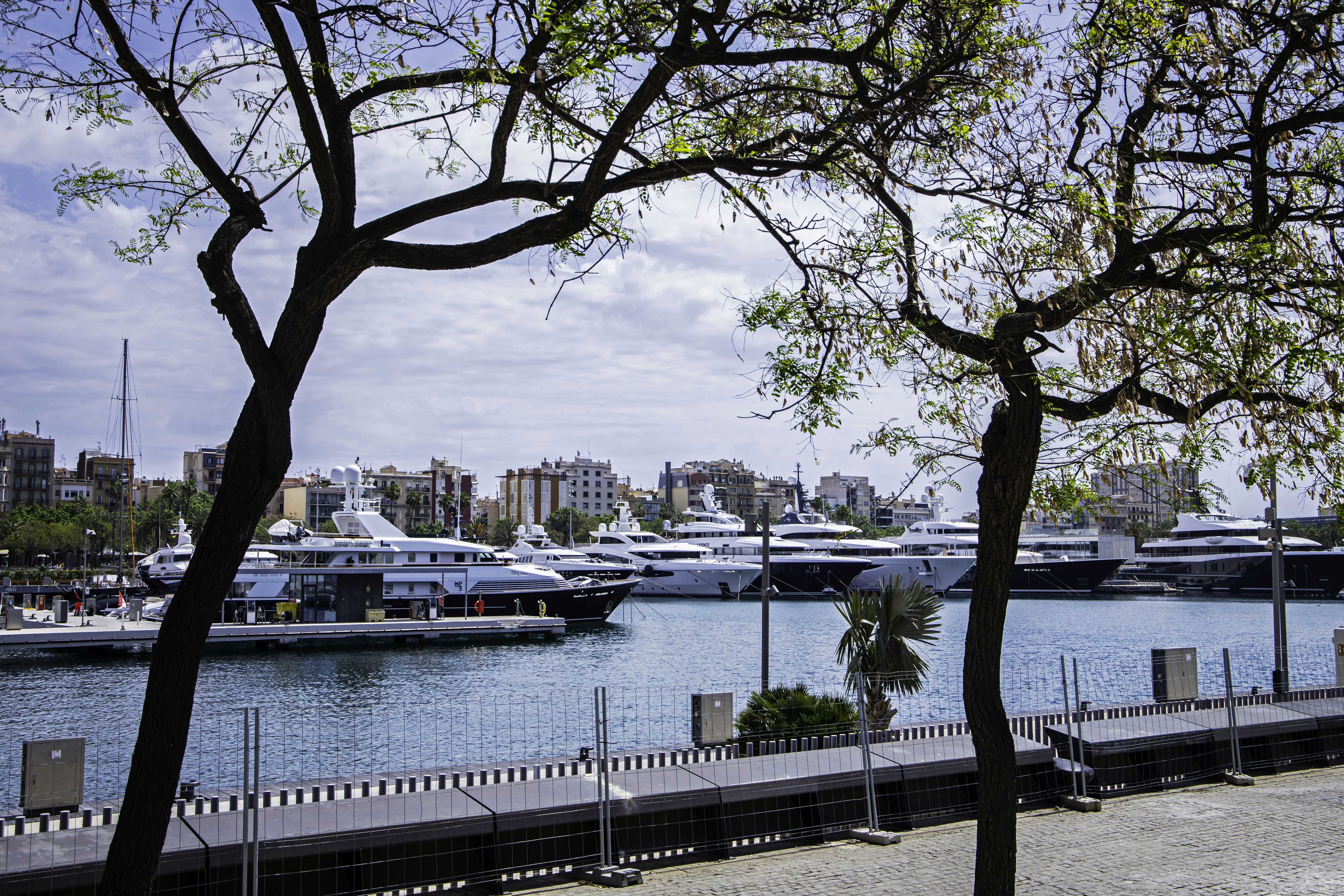 De nombreux yachts accostés dans une marina urbaine ensoleillée.