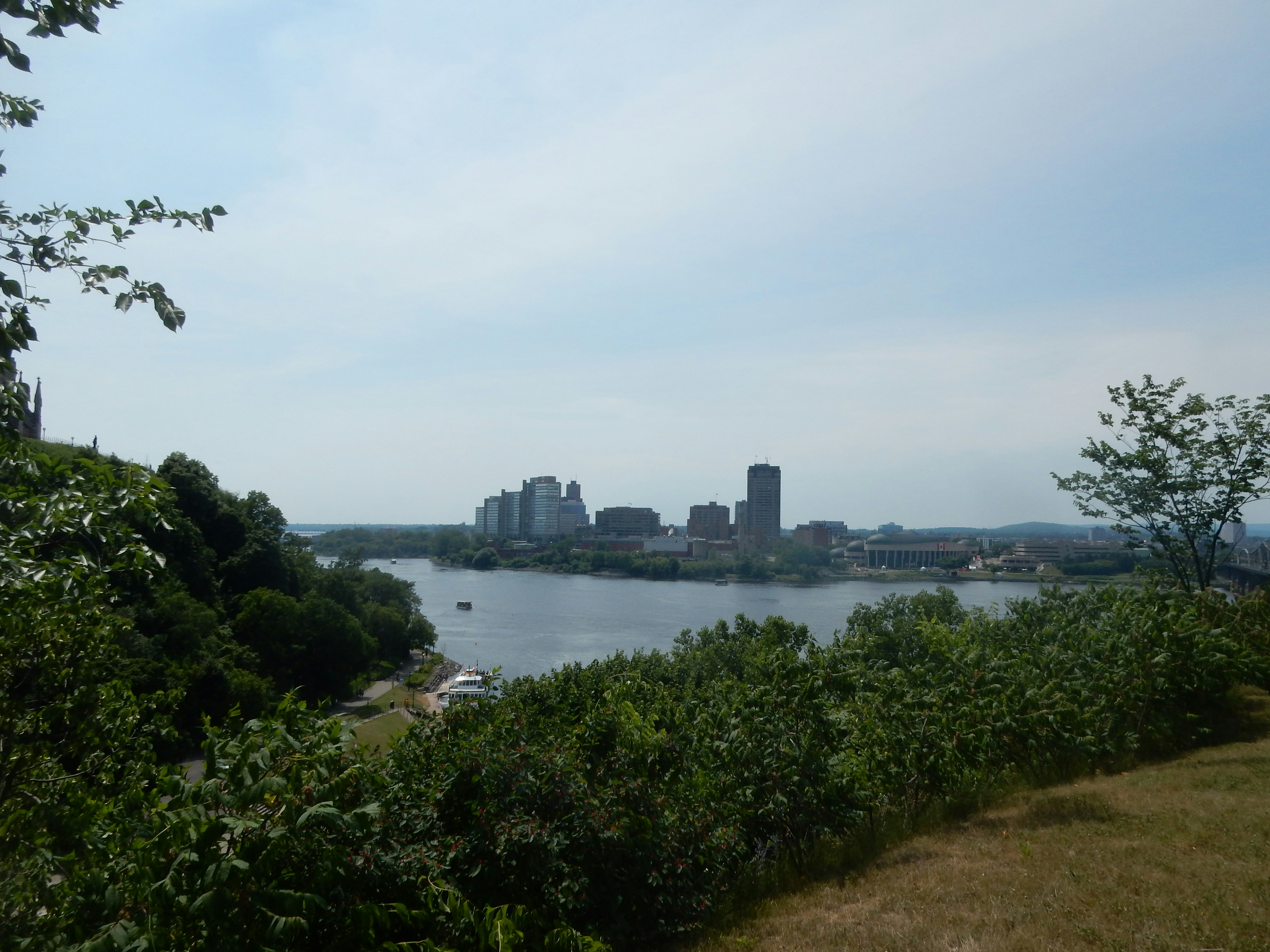 Sunlit river bend with a distant skyline framed by green shrubs and a sloping grassy foreground.