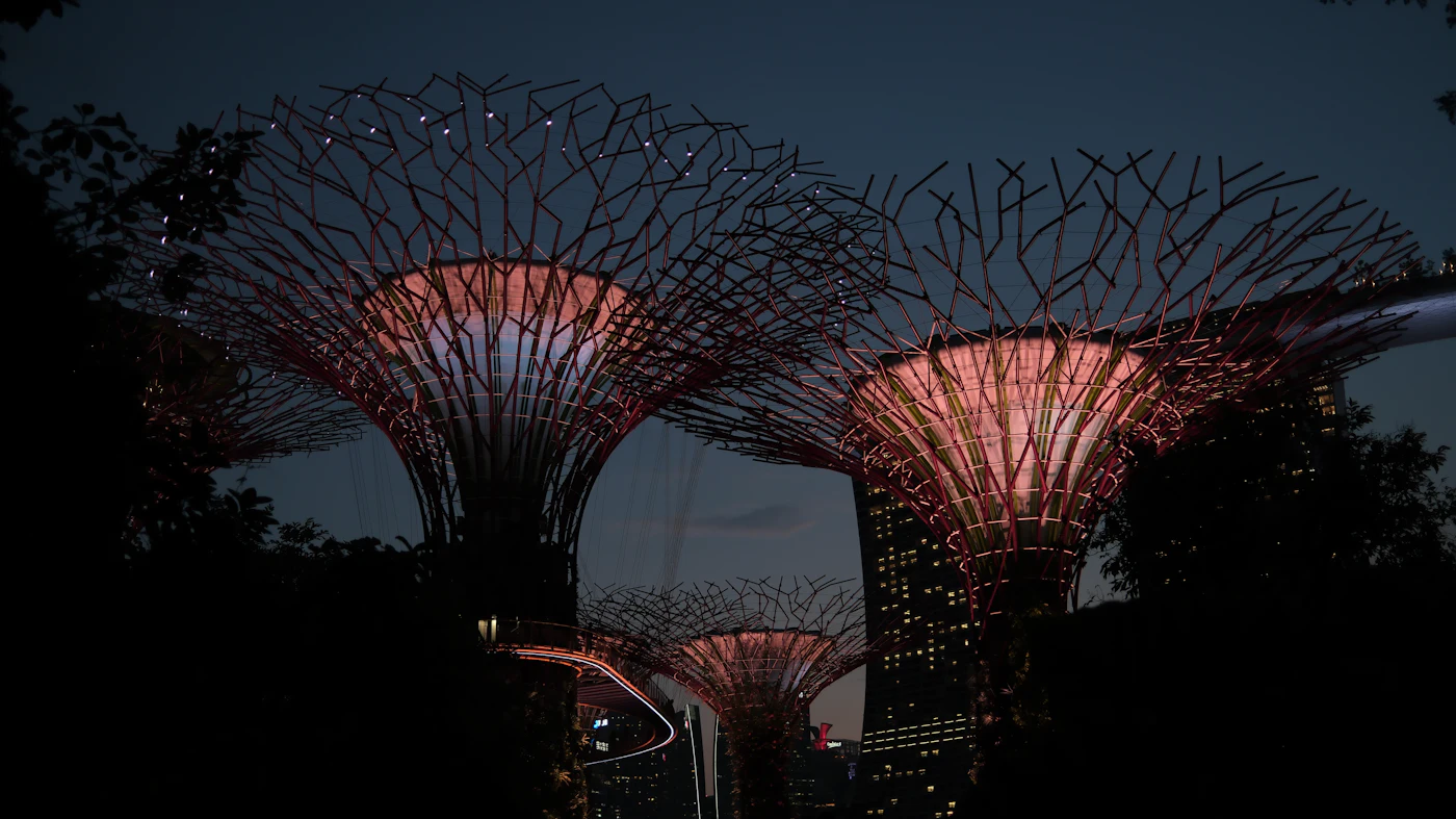 Die beleuchteten Supertrees in den Gardens by the Bay am Abend
