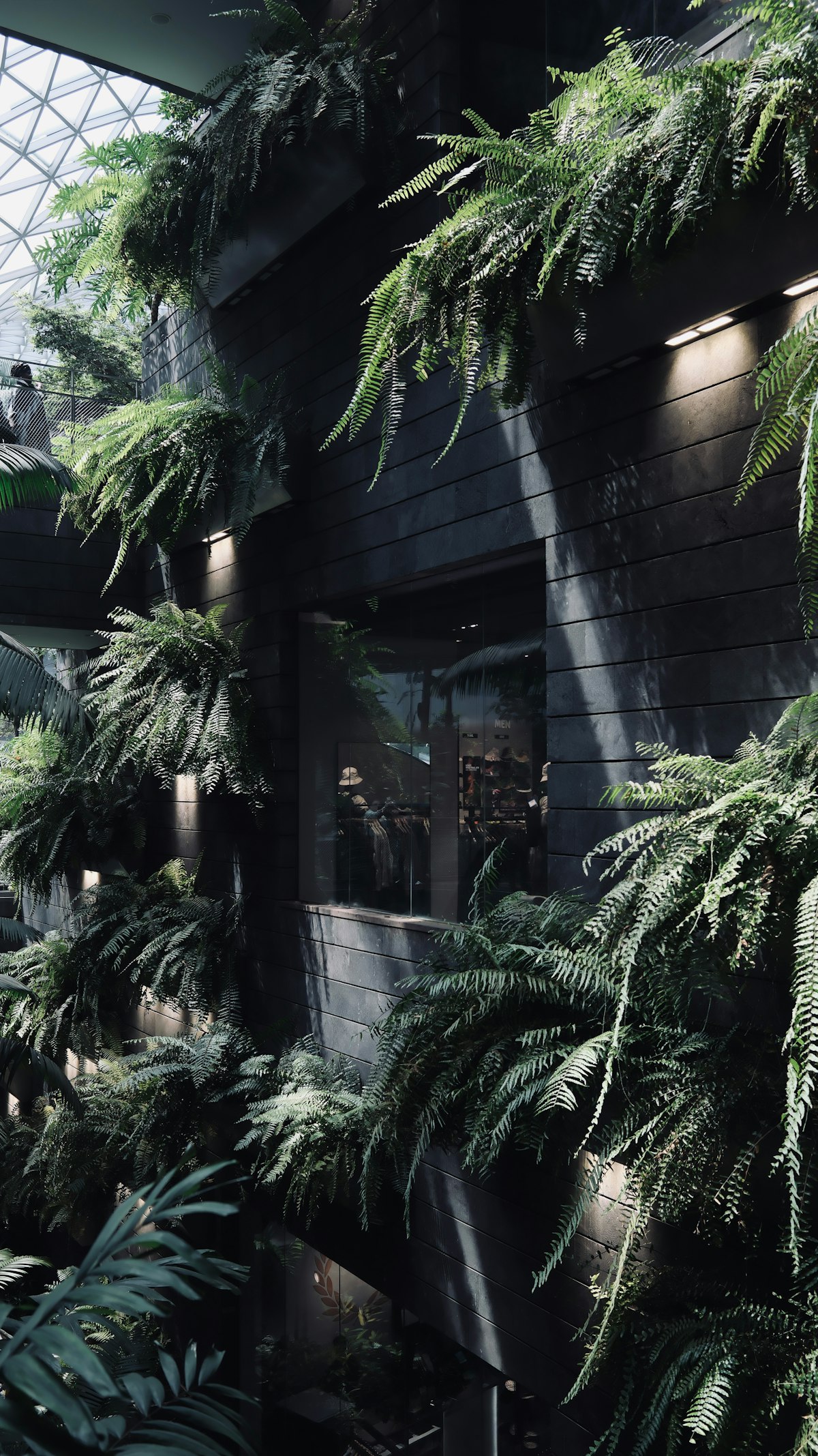 Biofilia de Luxo: A Ascensão do Verde Botânico e a Arquitetura Viva em 2026