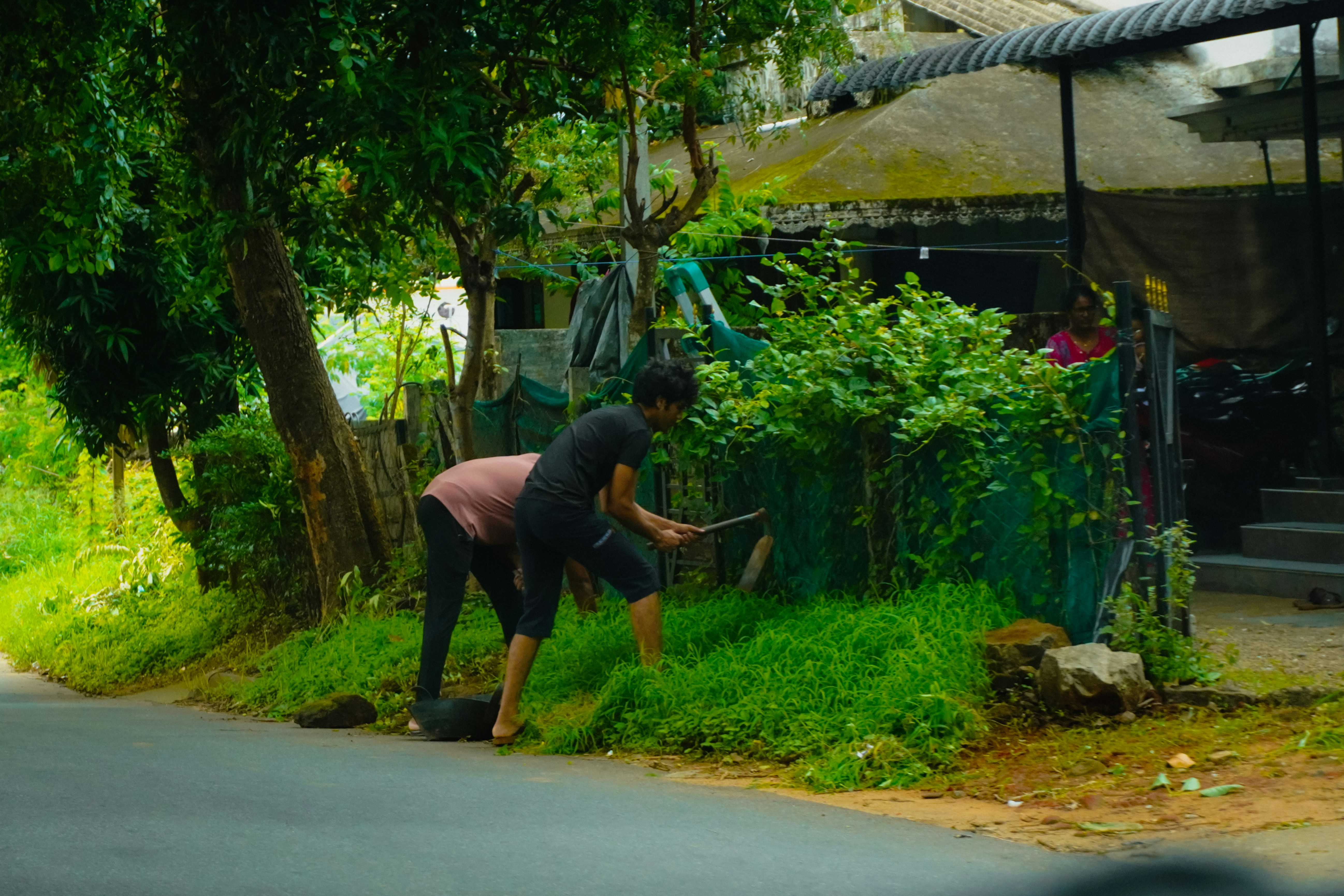 Two individuals weeding green grass beside a road.