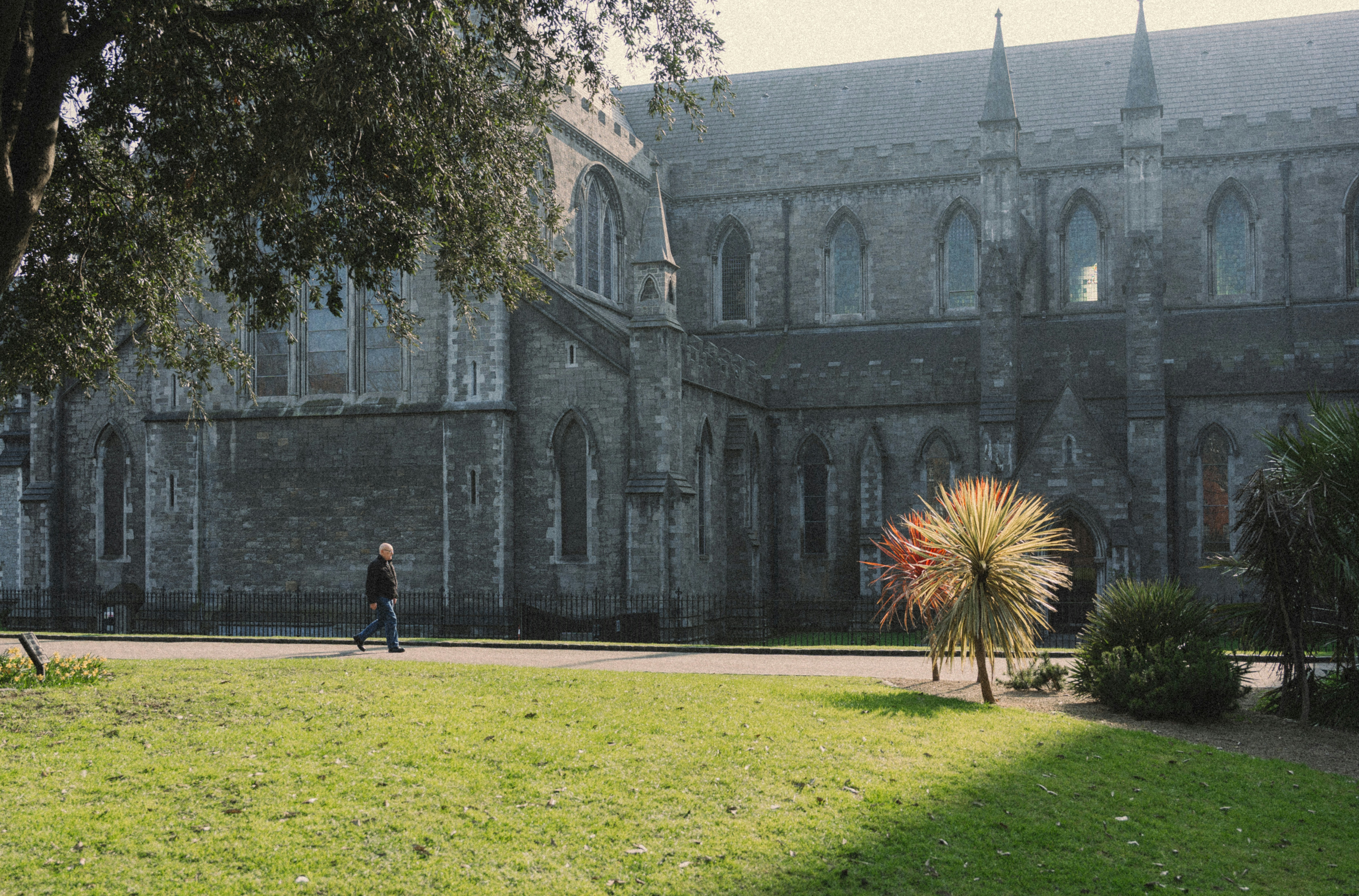 Historic stone cathedral with green lawn in dublin